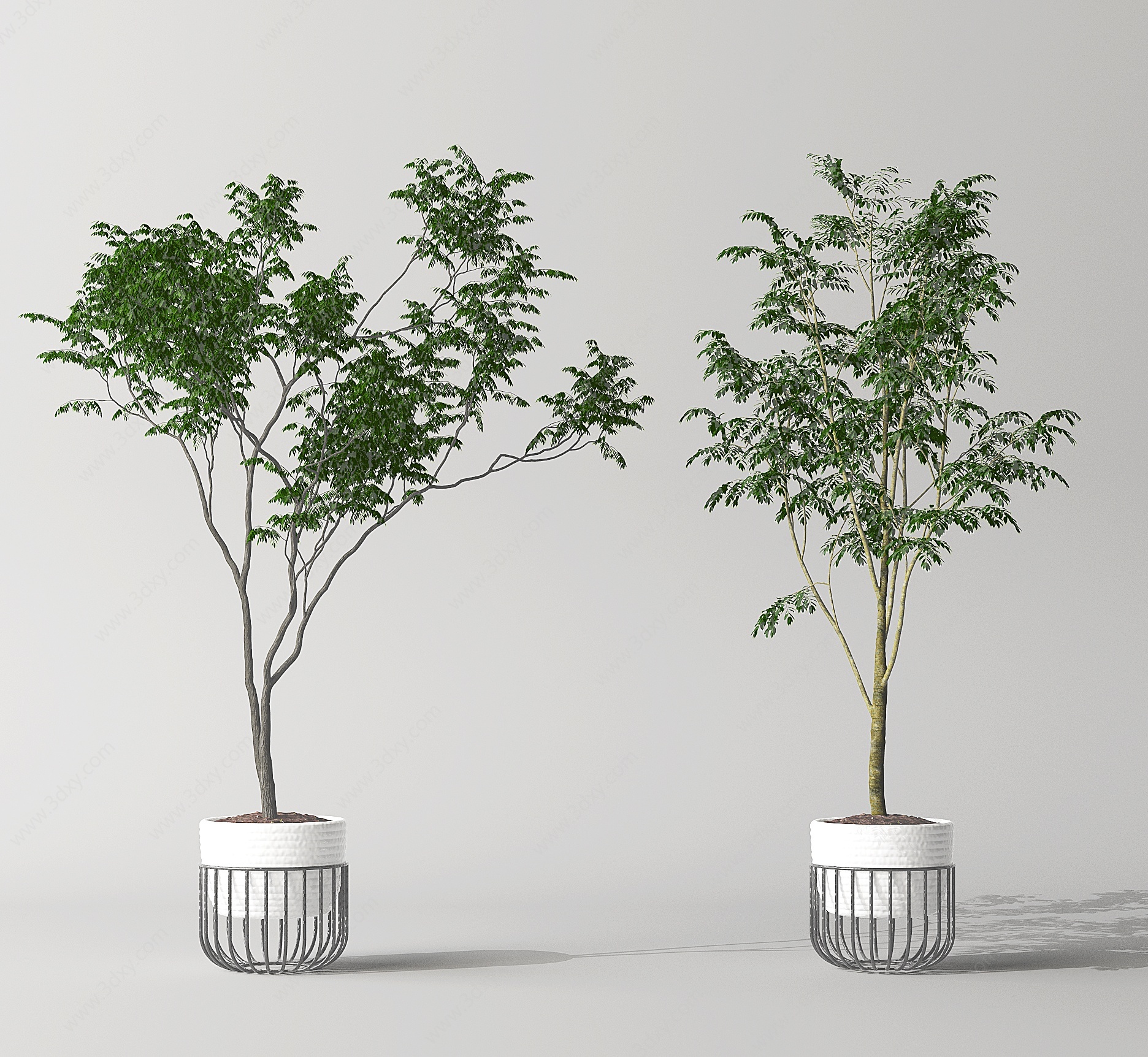 室内植物盆栽3D模型
