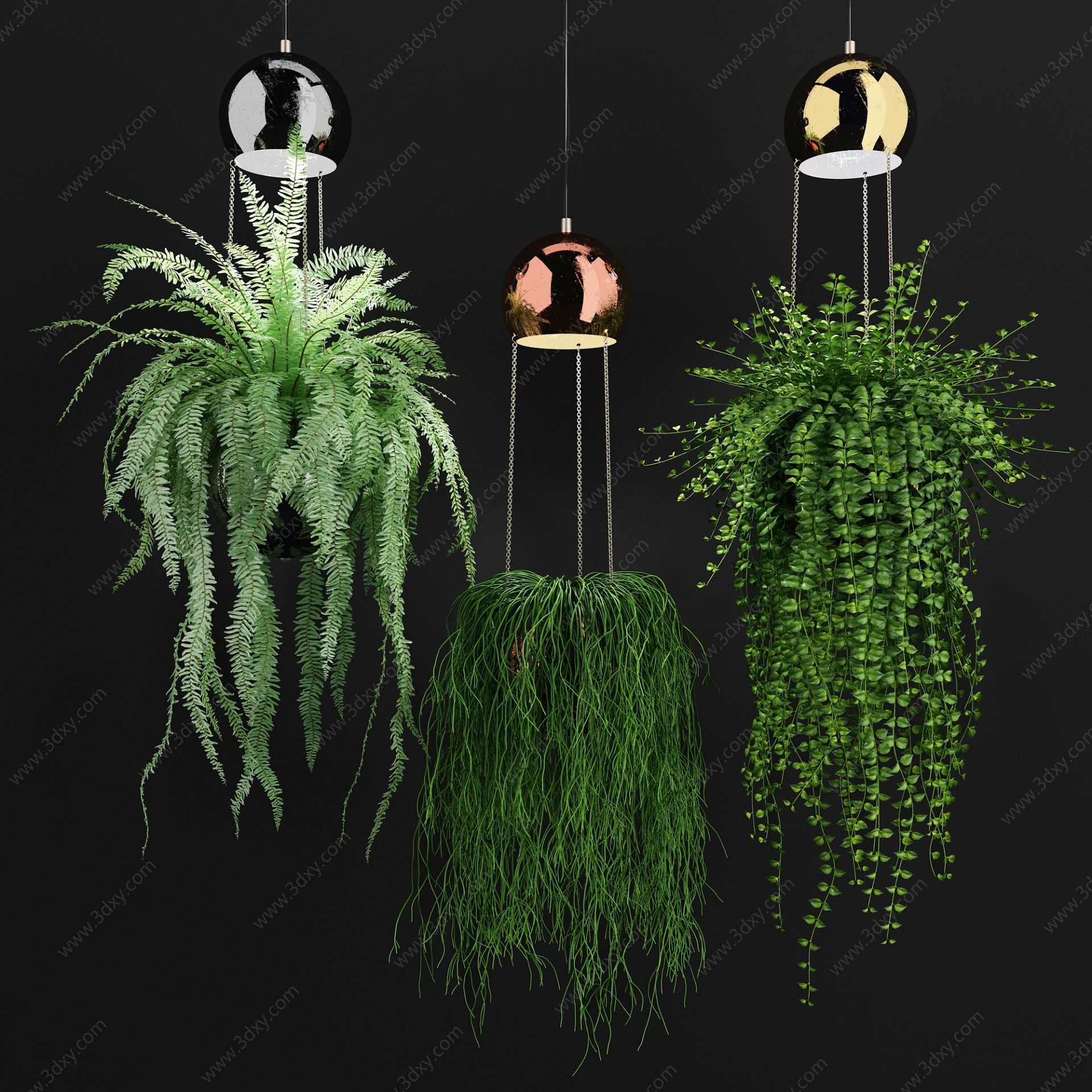 室内悬挂吊装植物3D模型