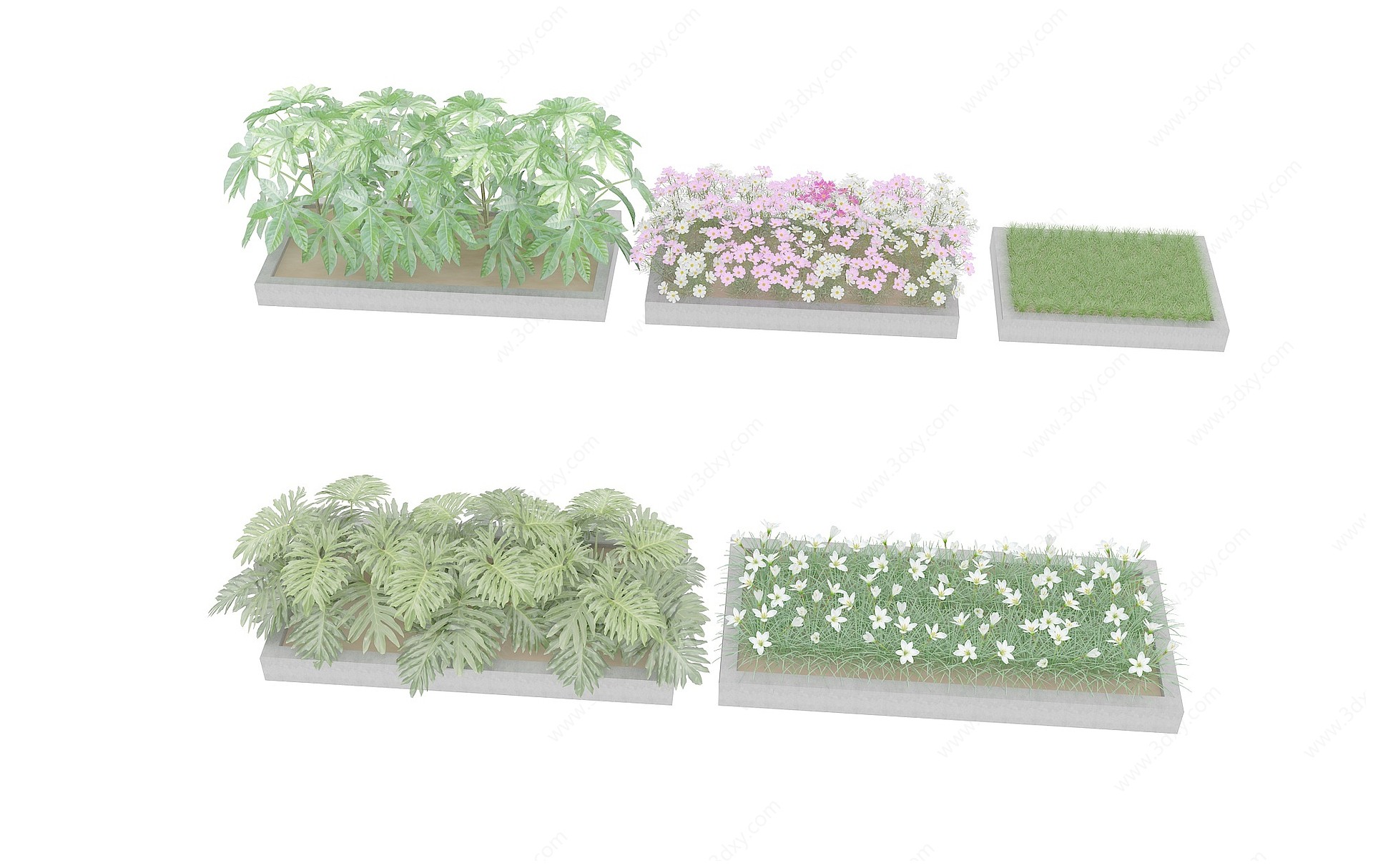 室外矮植物3D模型