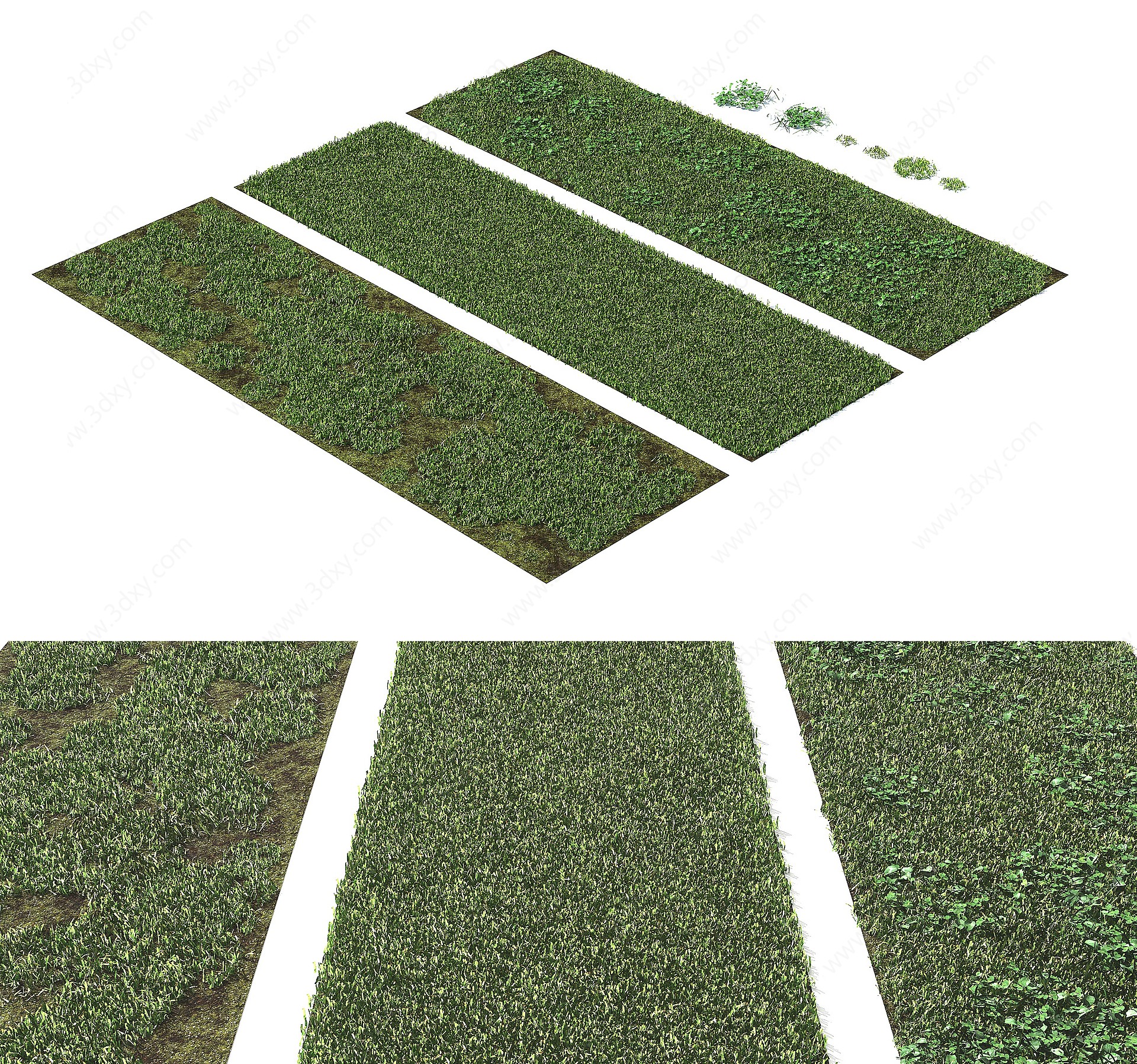 现代绿植草坪3D模型