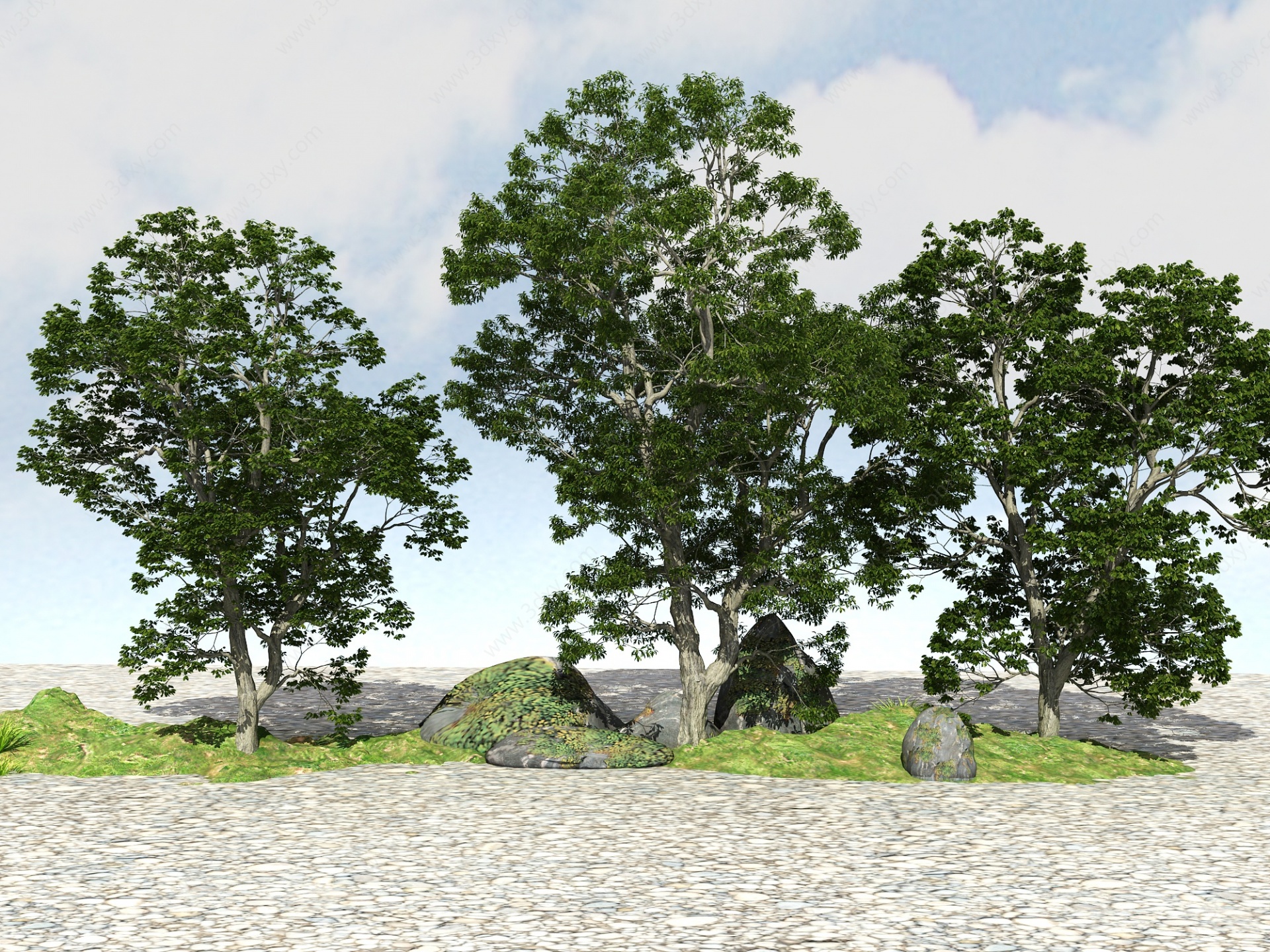 景观大树植物3D模型