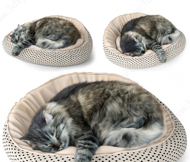 猫咪睡姿宠物猫3D模型