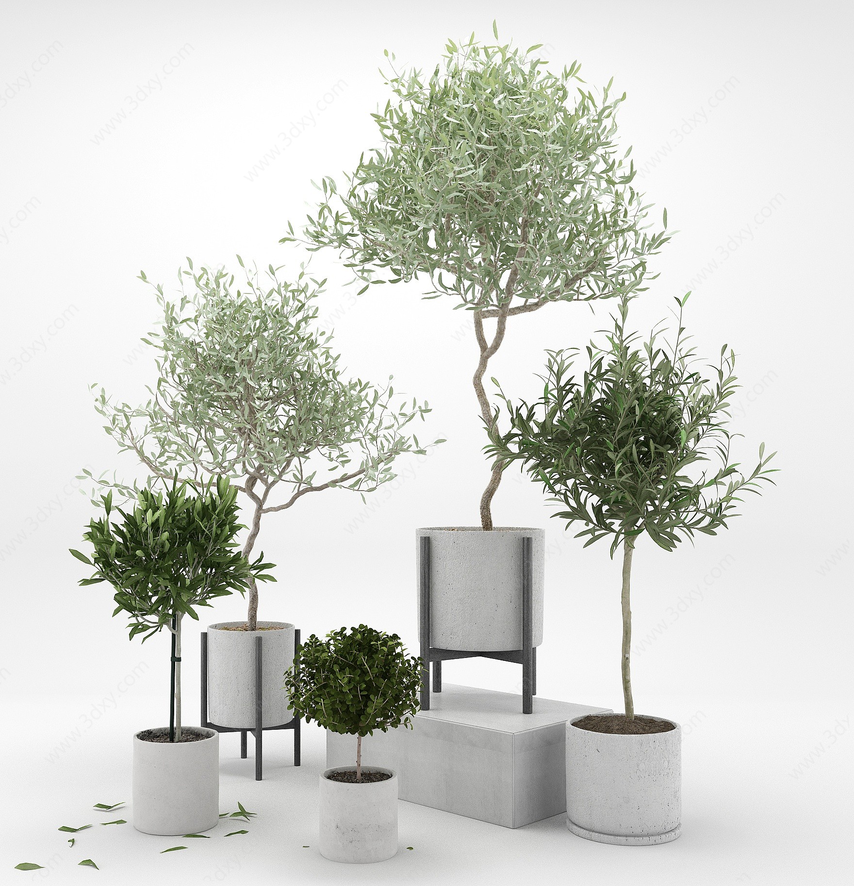 现代植物盆栽花盆3D模型
