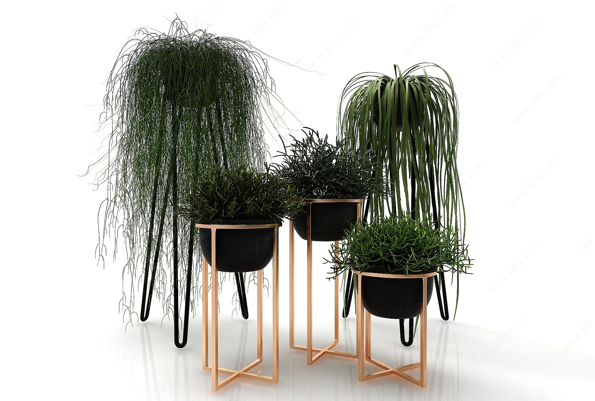 现代风格植物花盆3D模型