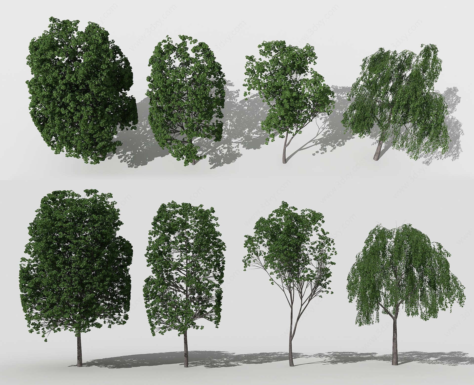 现代景观树行道树3D模型