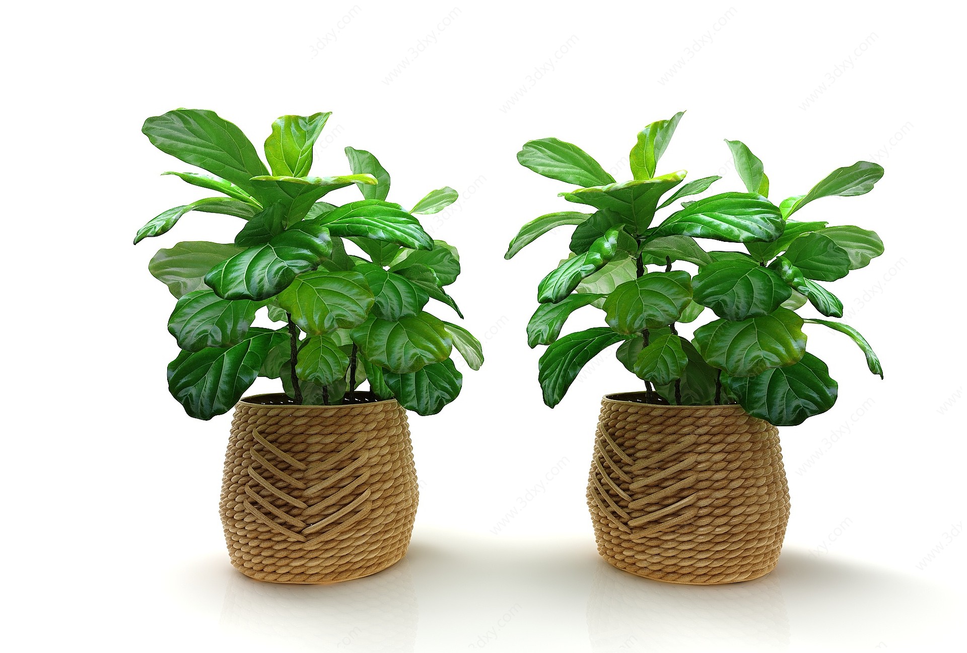 现代风格盆栽植物3D模型