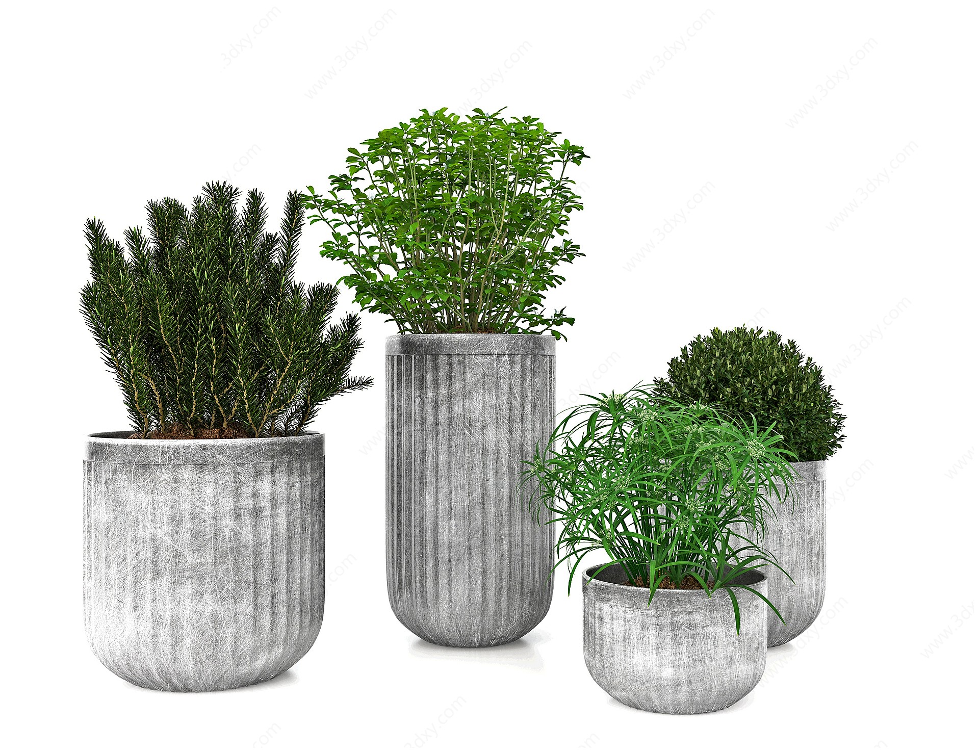 现代盆栽植物花盆3D模型