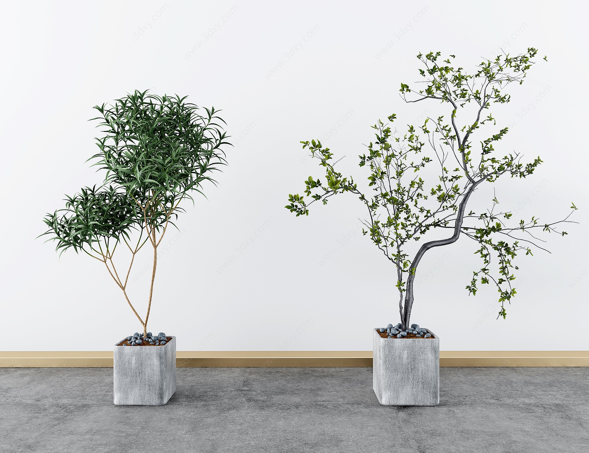 现代绿植盆栽绿植3D模型