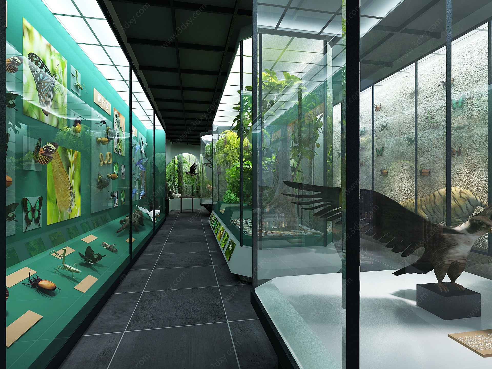 东南亚动物植物展厅3D模型