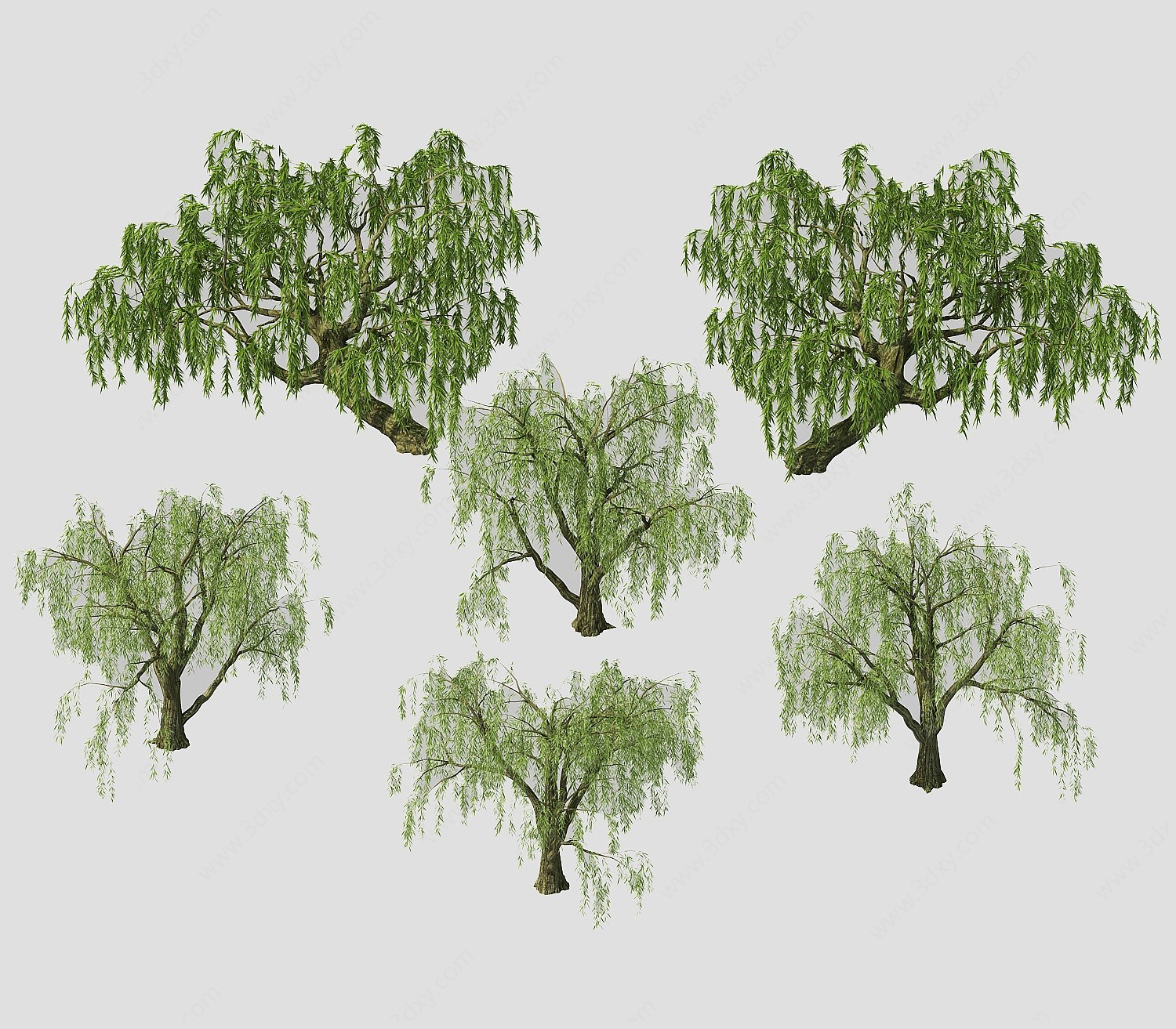 现代植物树木柳绿植3D模型