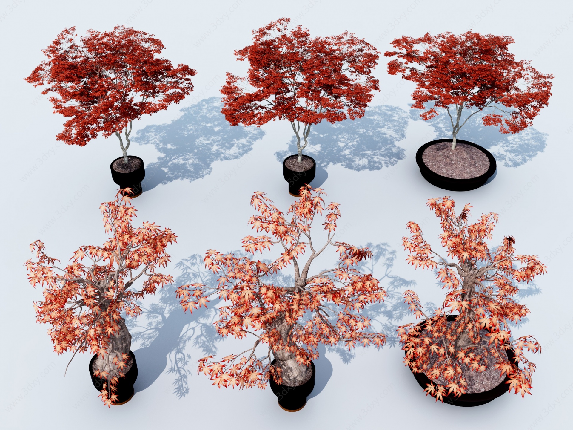 现代树池景观树3D模型