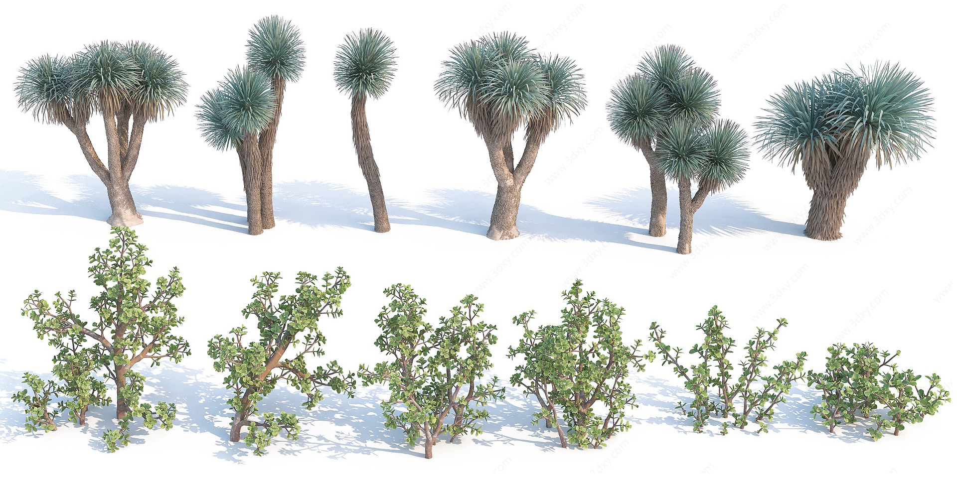 现代灌木花草绿植3D模型