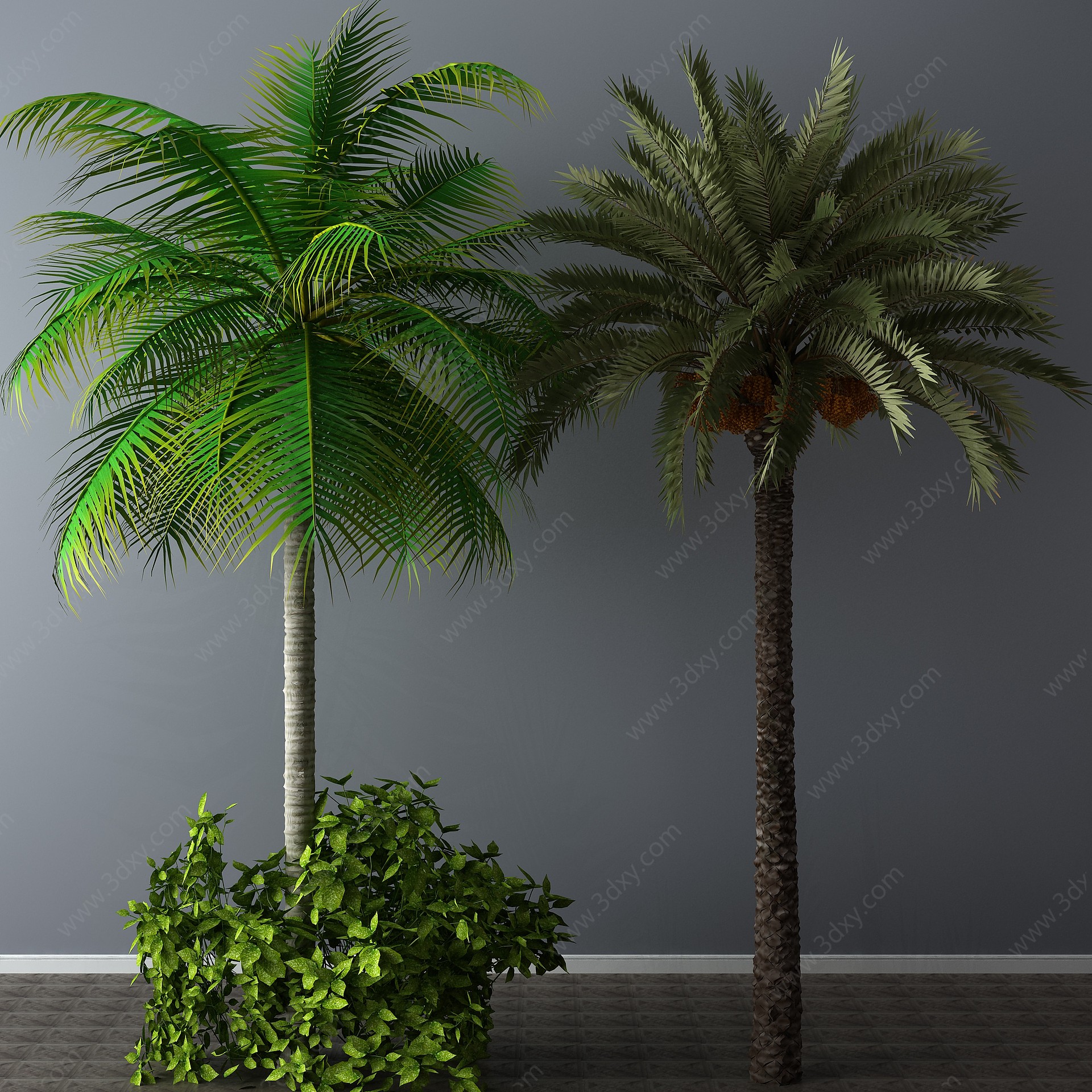 现代植物盆景树3D模型
