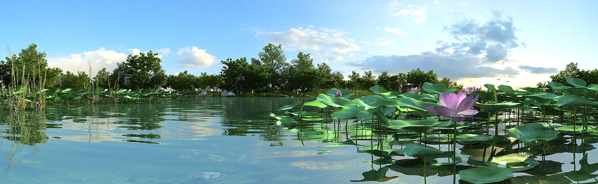 中式荷花湿地水草树荷塘3D模型