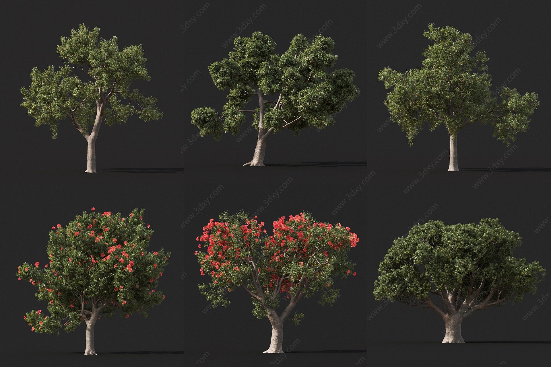 现代景观树花树庭院树3D模型