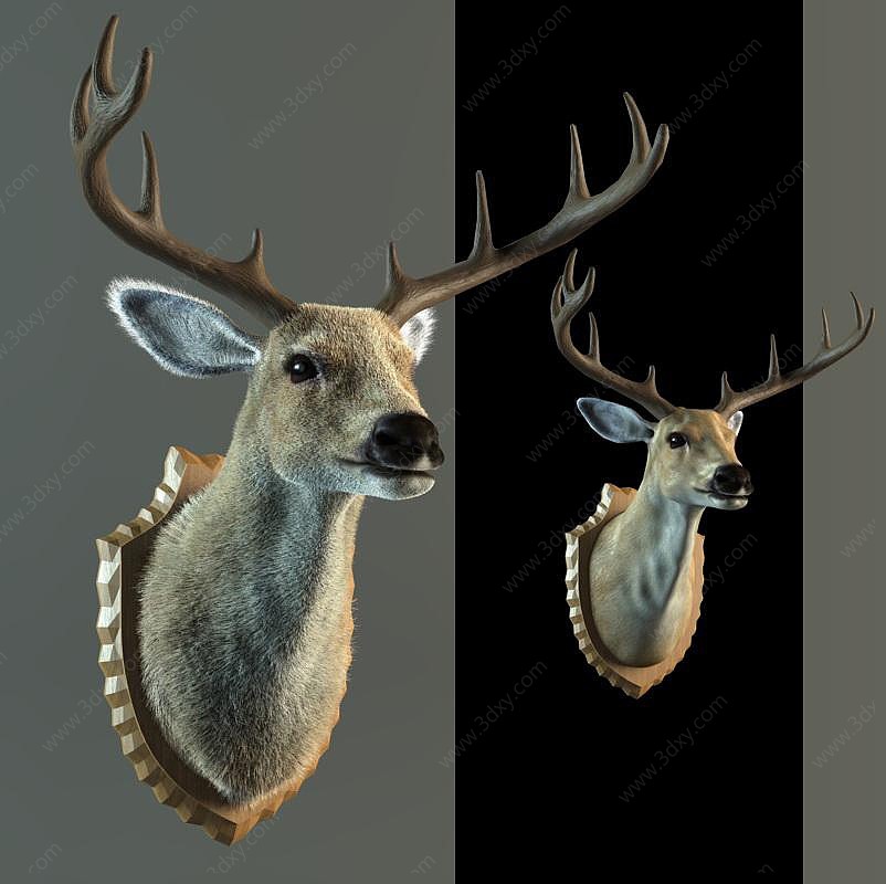 鹿头墙面挂件3D模型