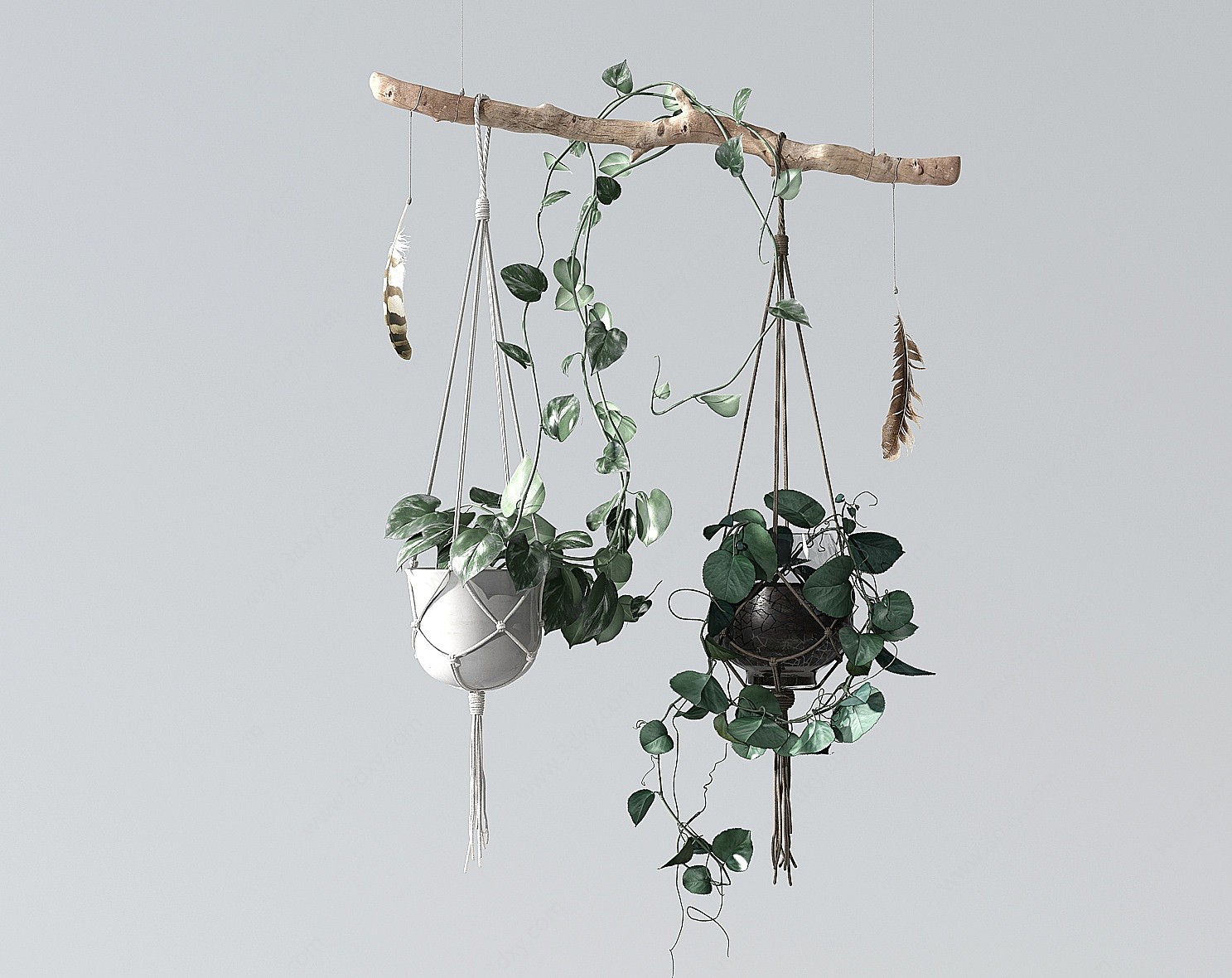 植物吊篮阳台植物3D模型