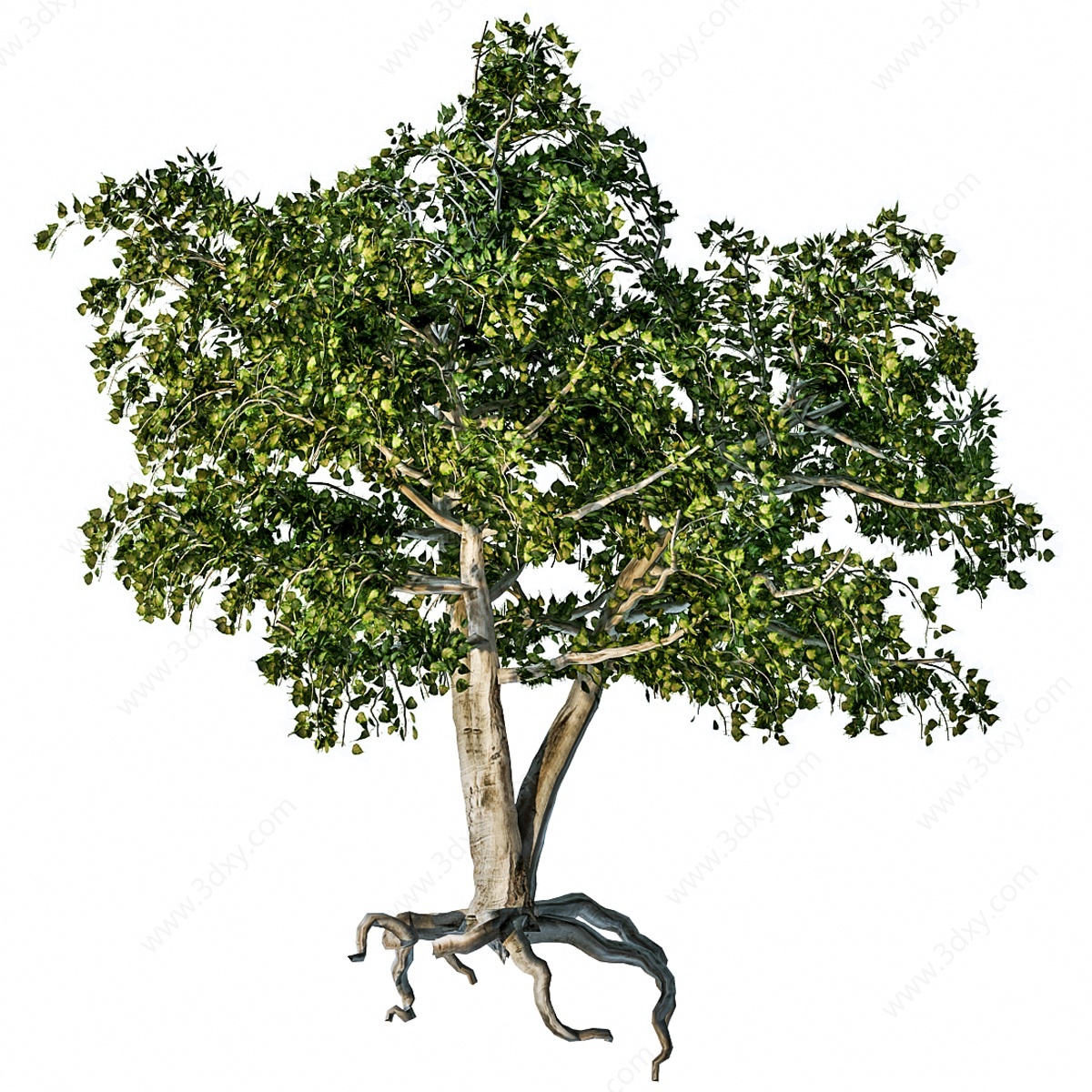 简欧绿植树木3D模型