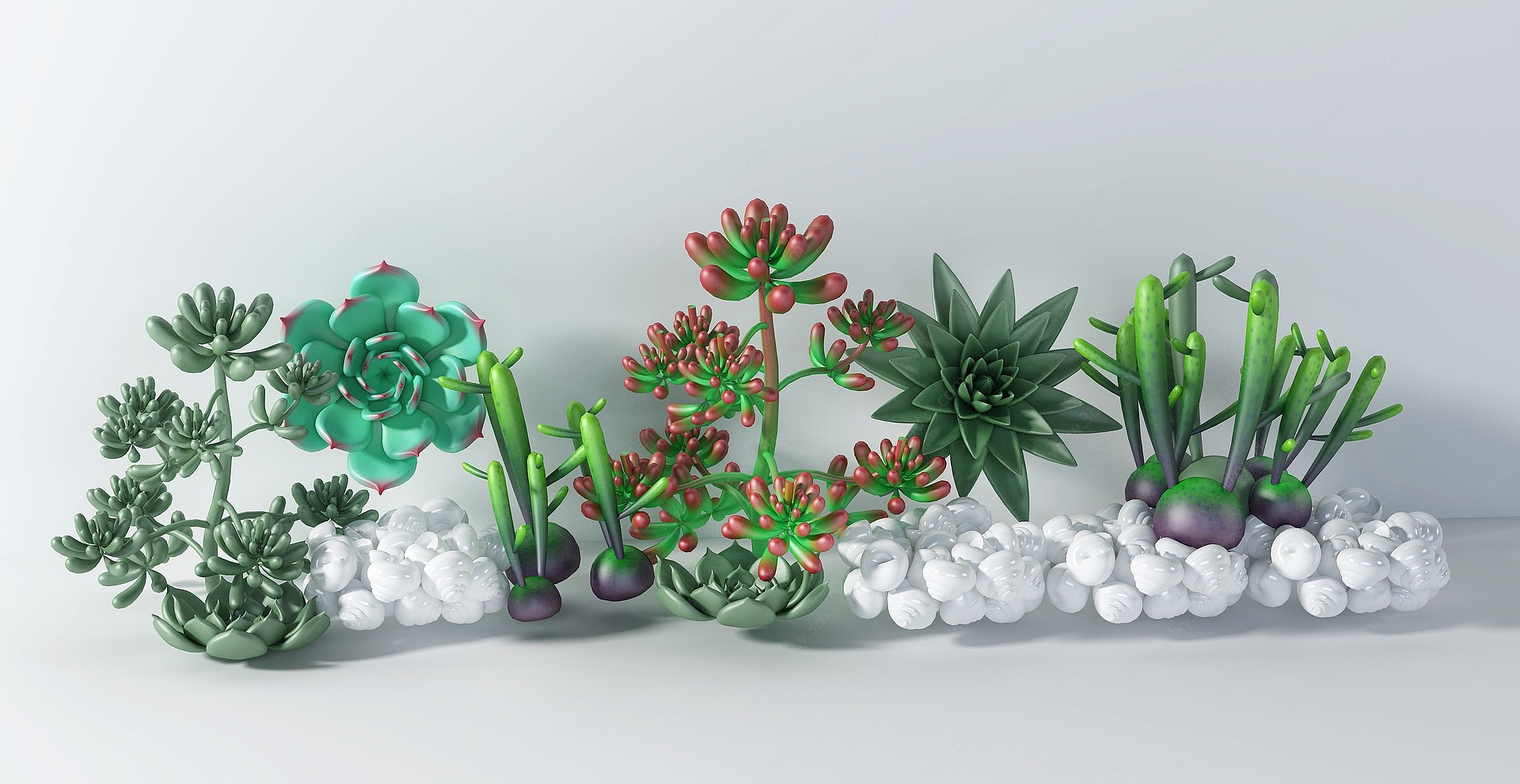 现代花草绿植多肉海螺3D模型