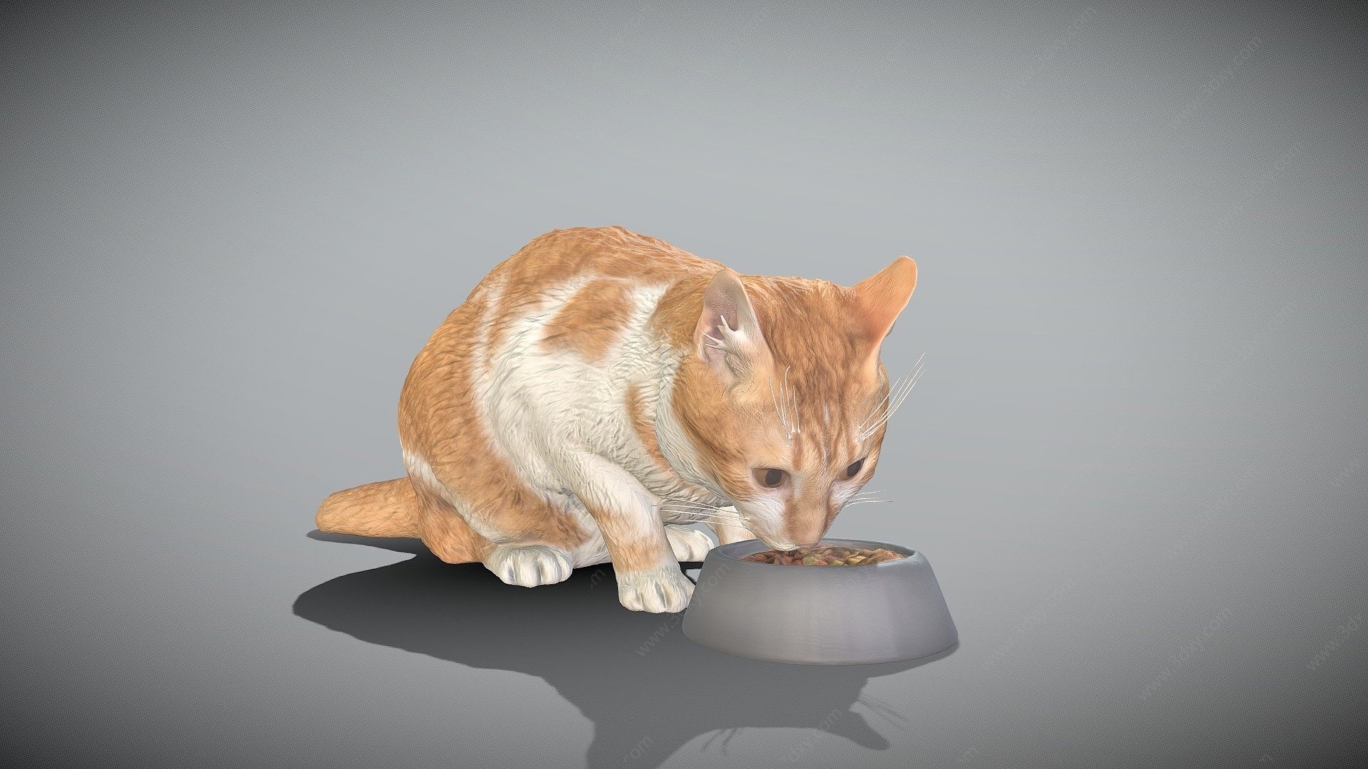 现代猫3D模型
