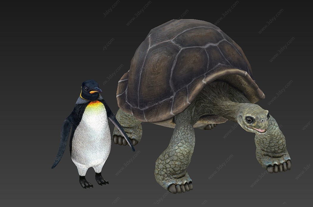 动物侧颈龟企鹅3D模型