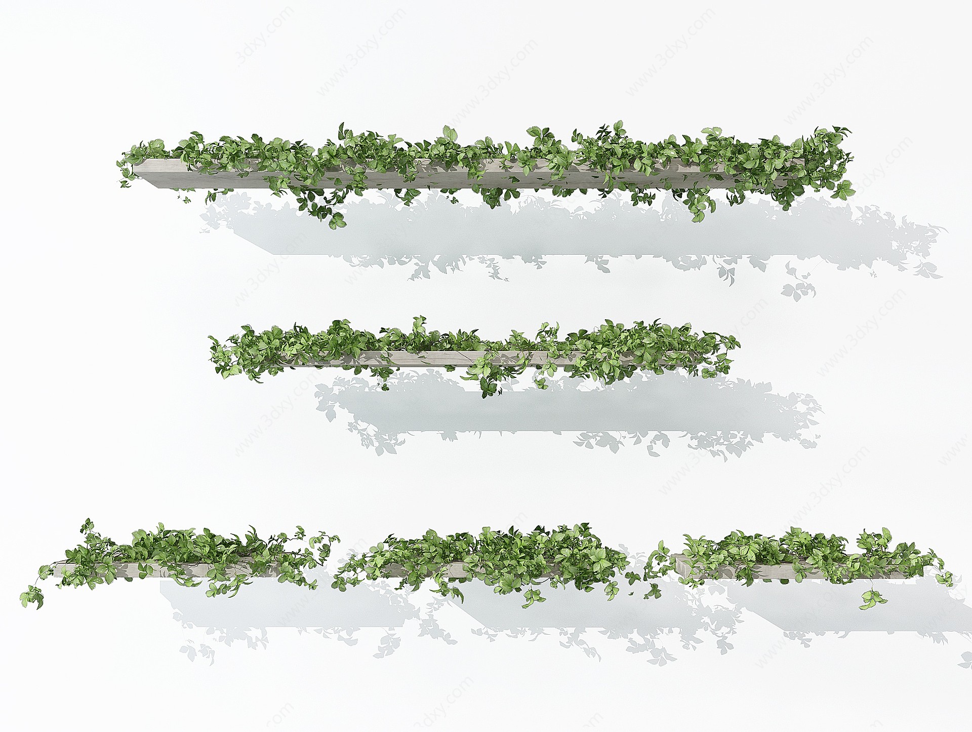 现代植物藤蔓3D模型