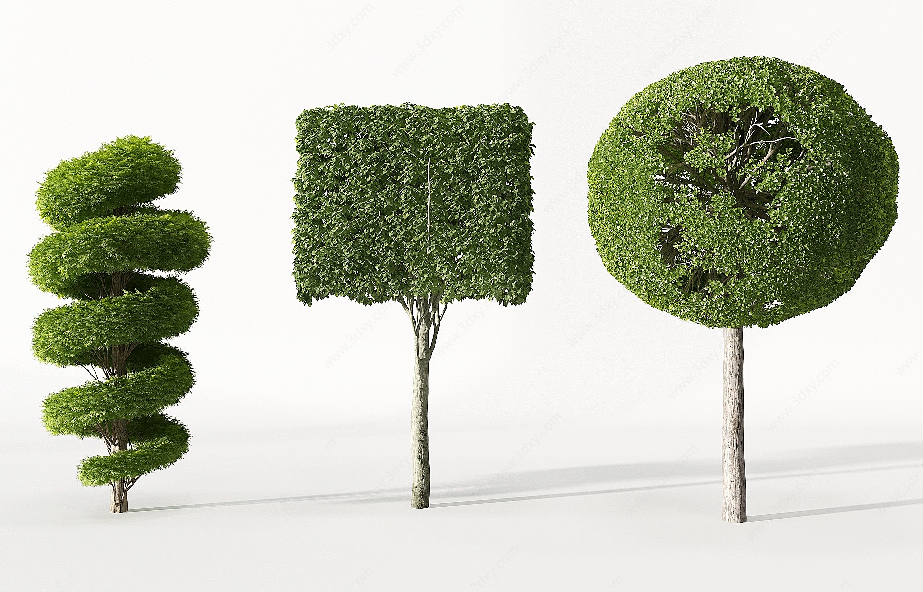 现代景观园林植物3D模型