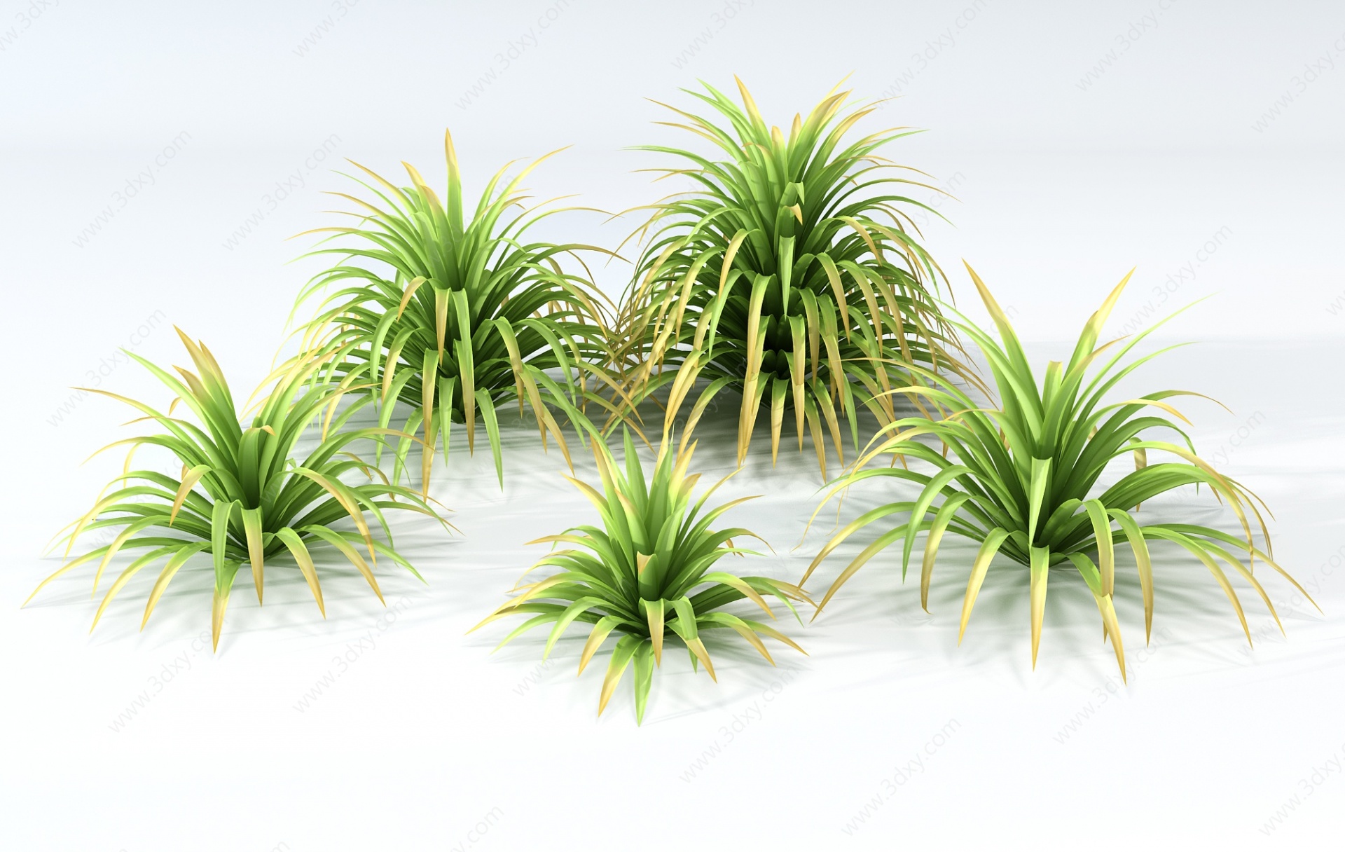 现代热带植物草3D模型