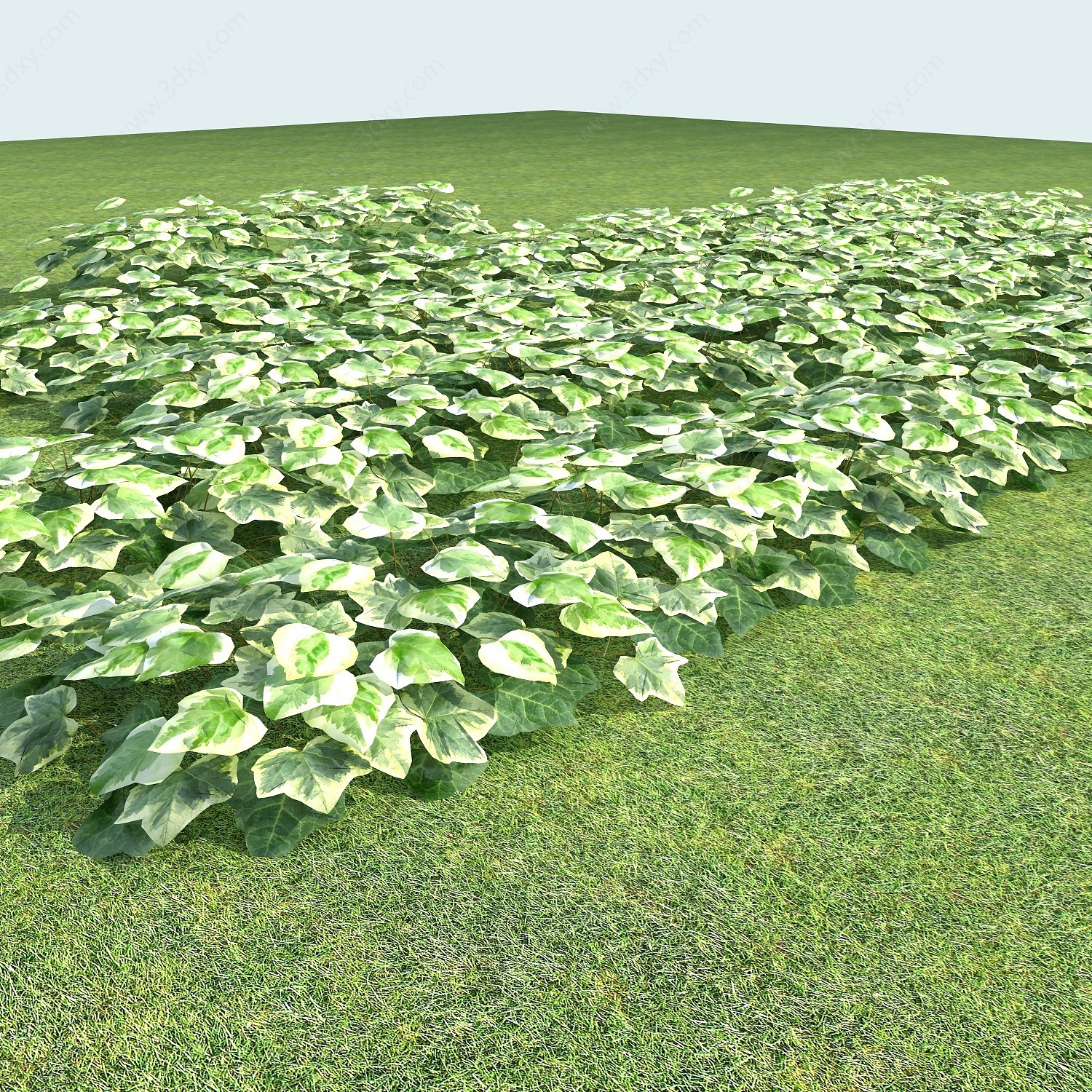 现代常春藤植物藤蔓3D模型
