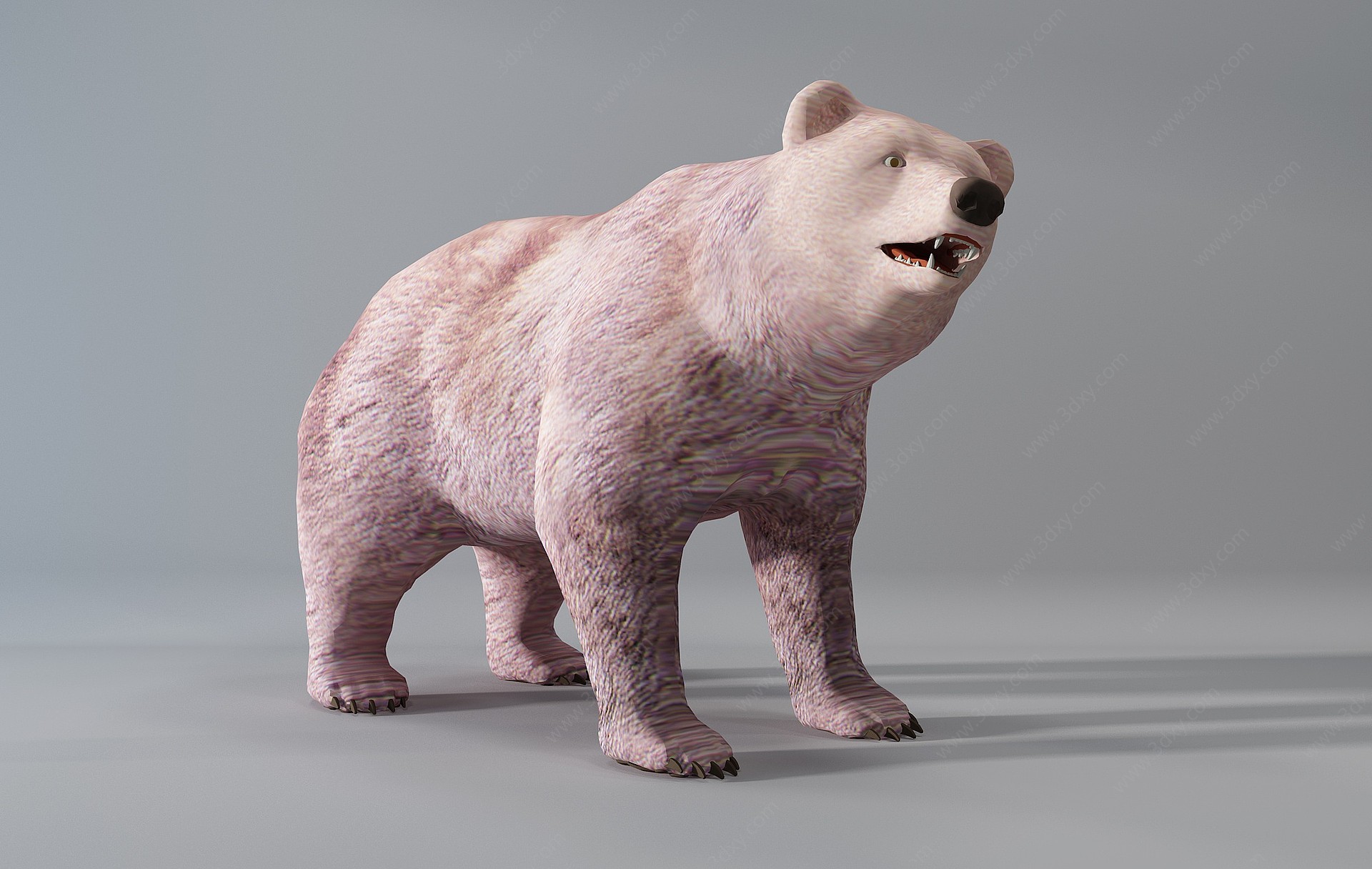 现代狗熊动物3D模型