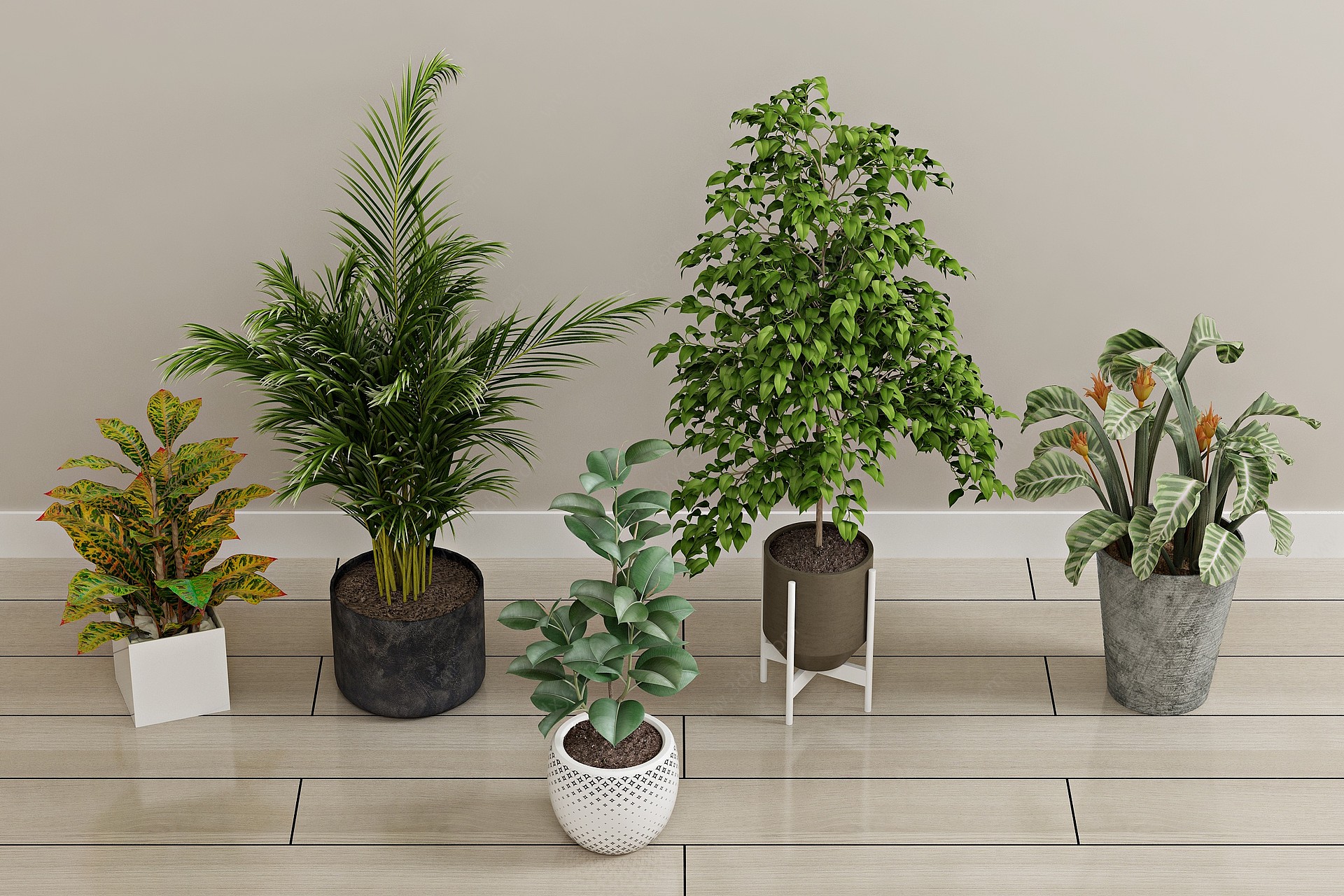 现代绿植盆栽植物3D模型