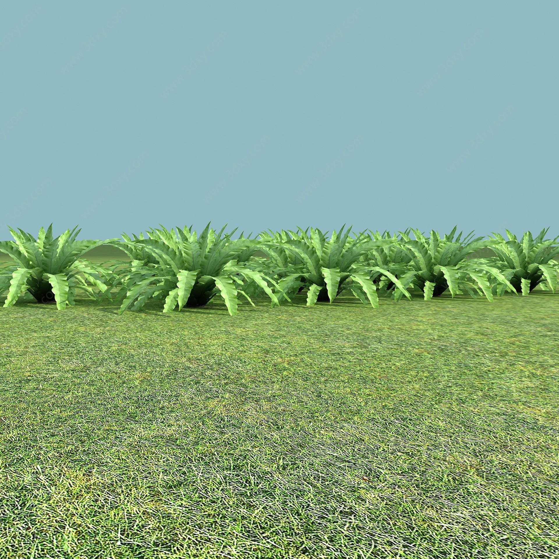现代植物3D模型
