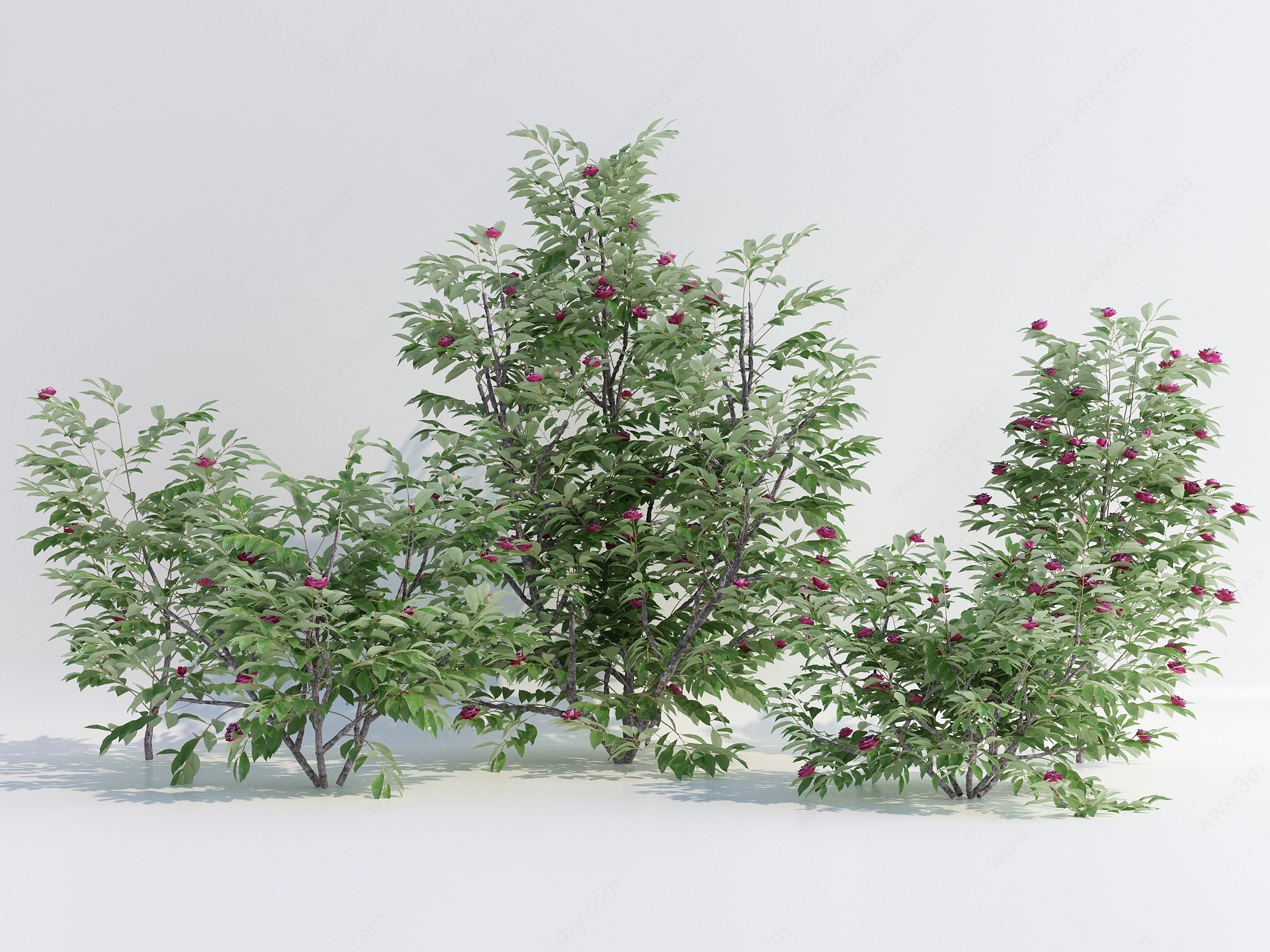 现代灌木花草绿植花坛3D模型