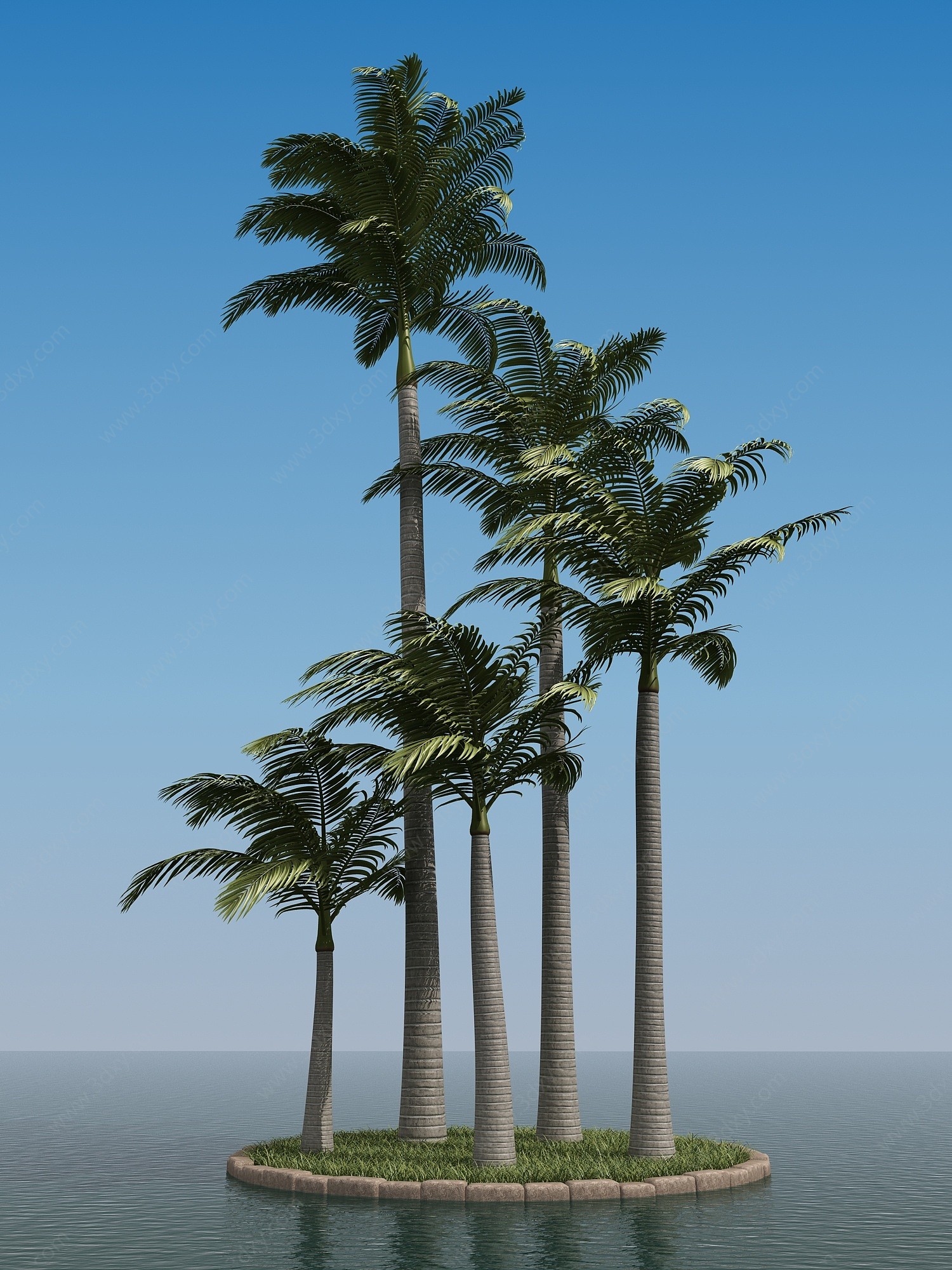 棕榈树椰子树3D模型