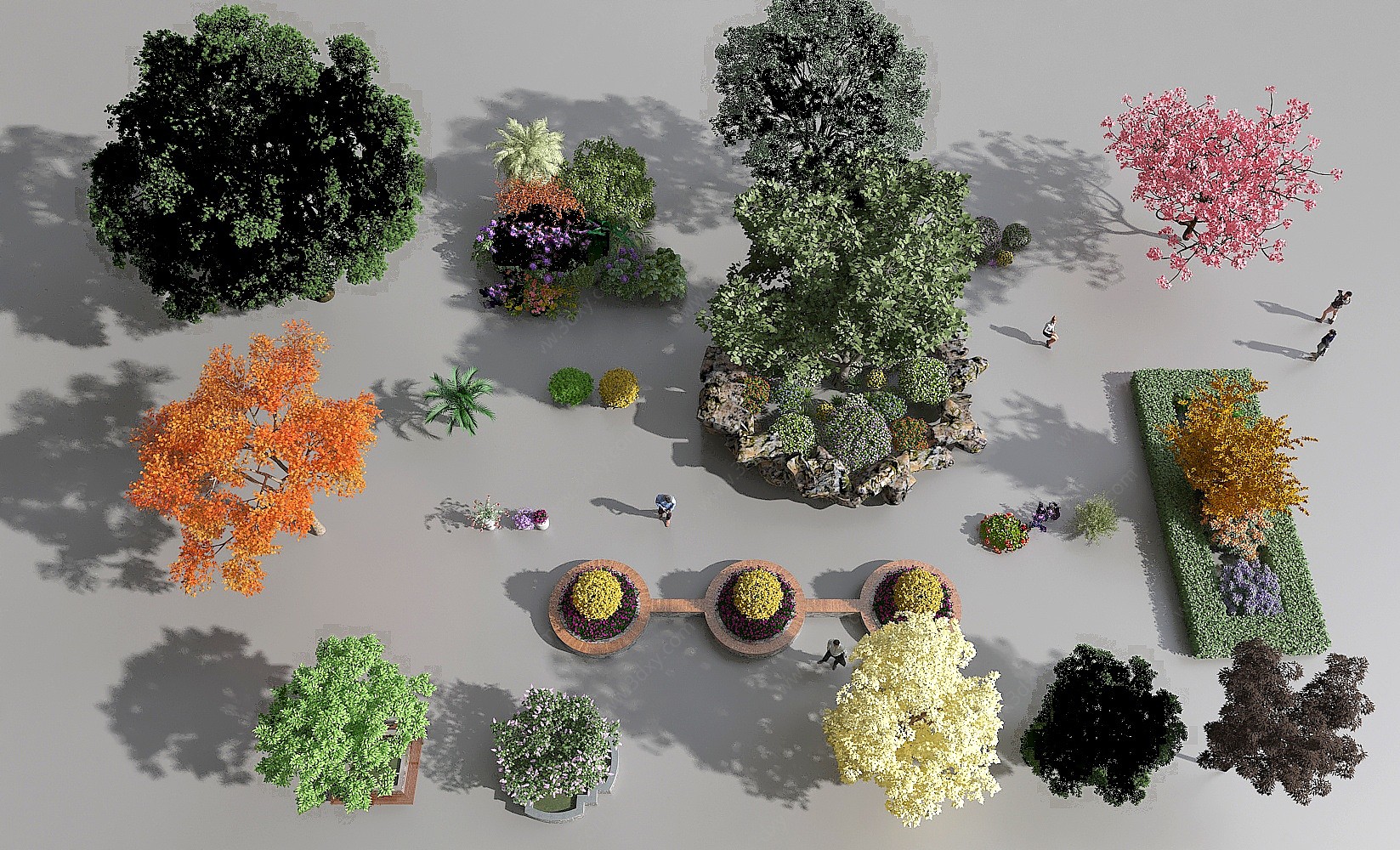 现代植物景观组合3D模型
