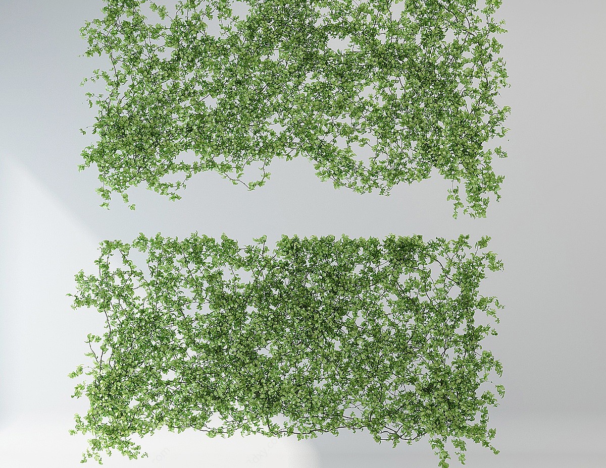 植物墙藤蔓3D模型