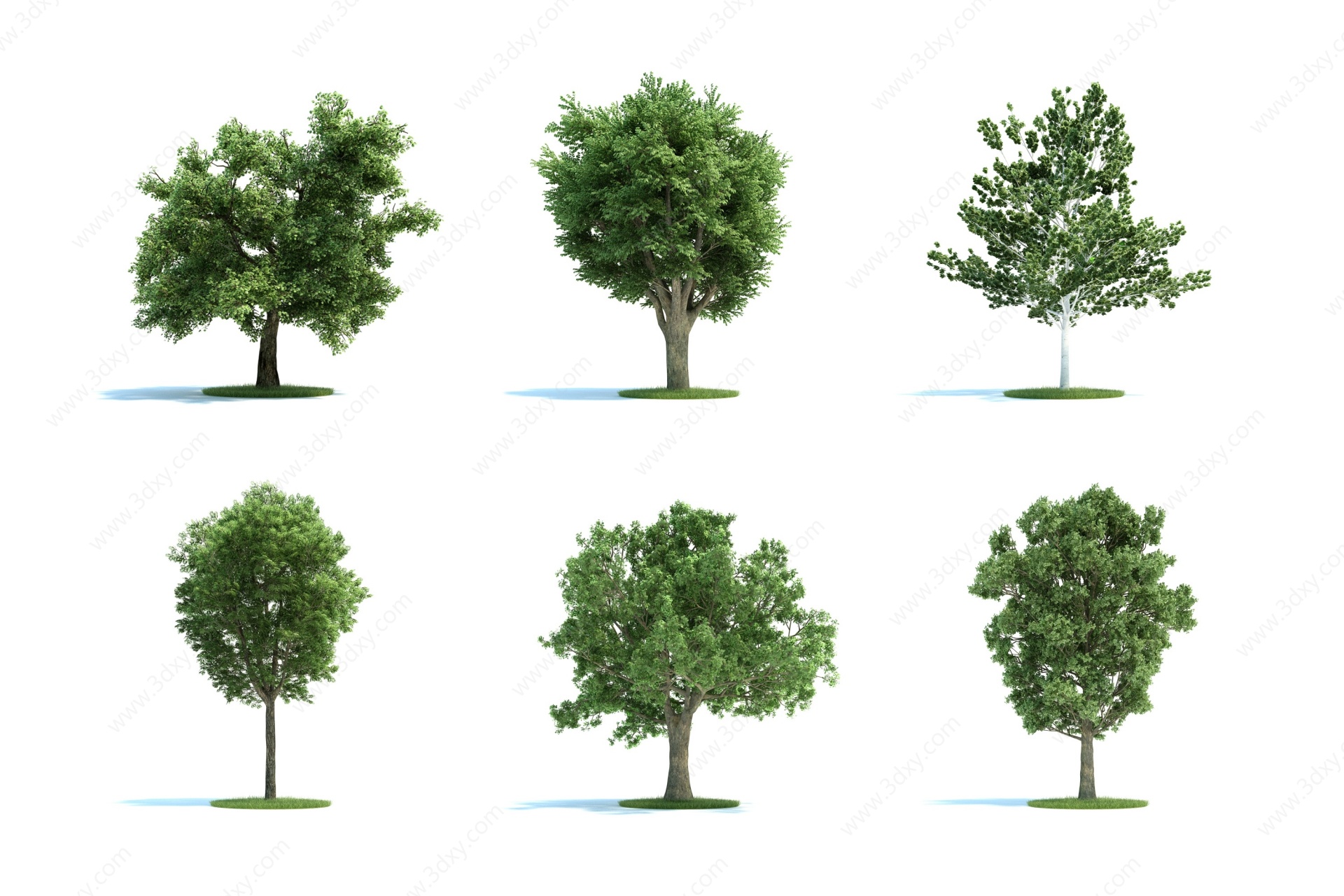 现代景观树木3D模型