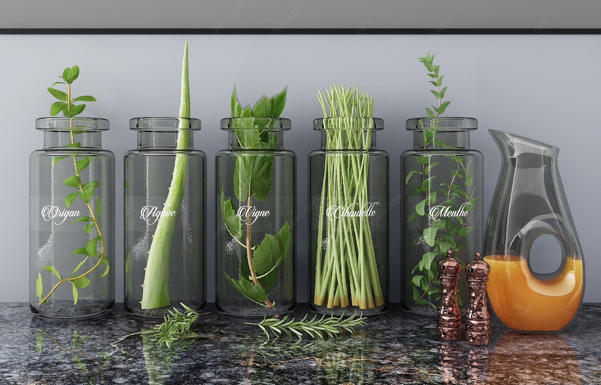 现代玻璃绿植植物芦荟3D模型