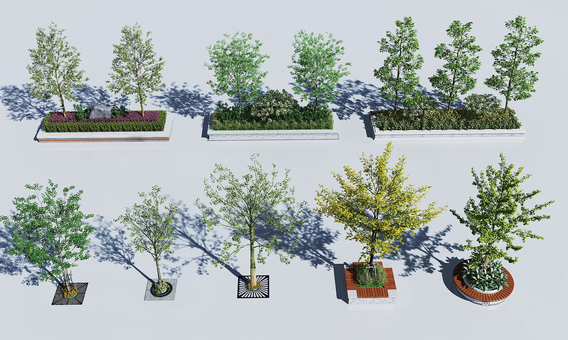 现代绿化池景观树3D模型