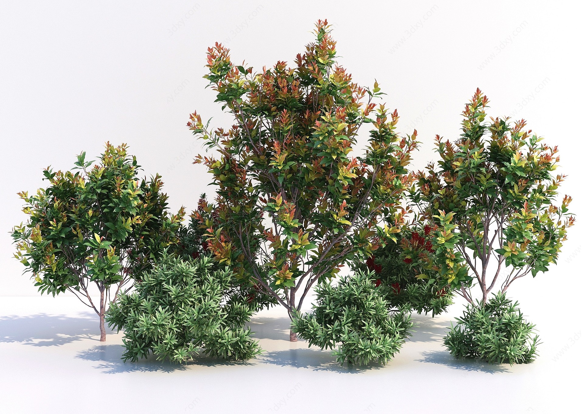 树木灌木3D模型