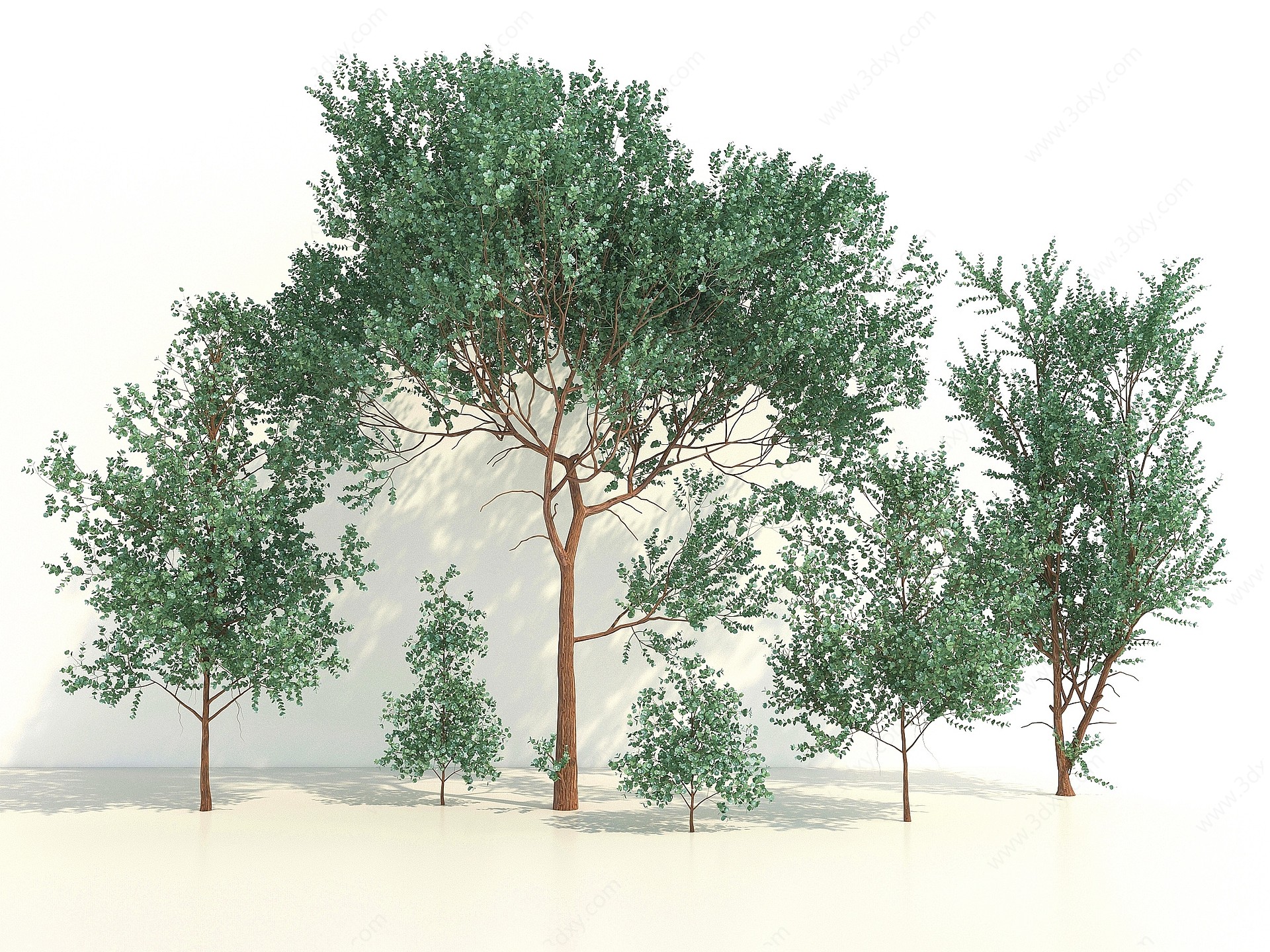 树木 乔木3D模型