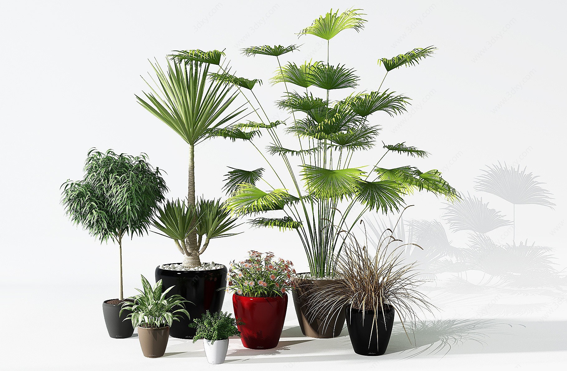 植物盆景盆栽绿植3D模型