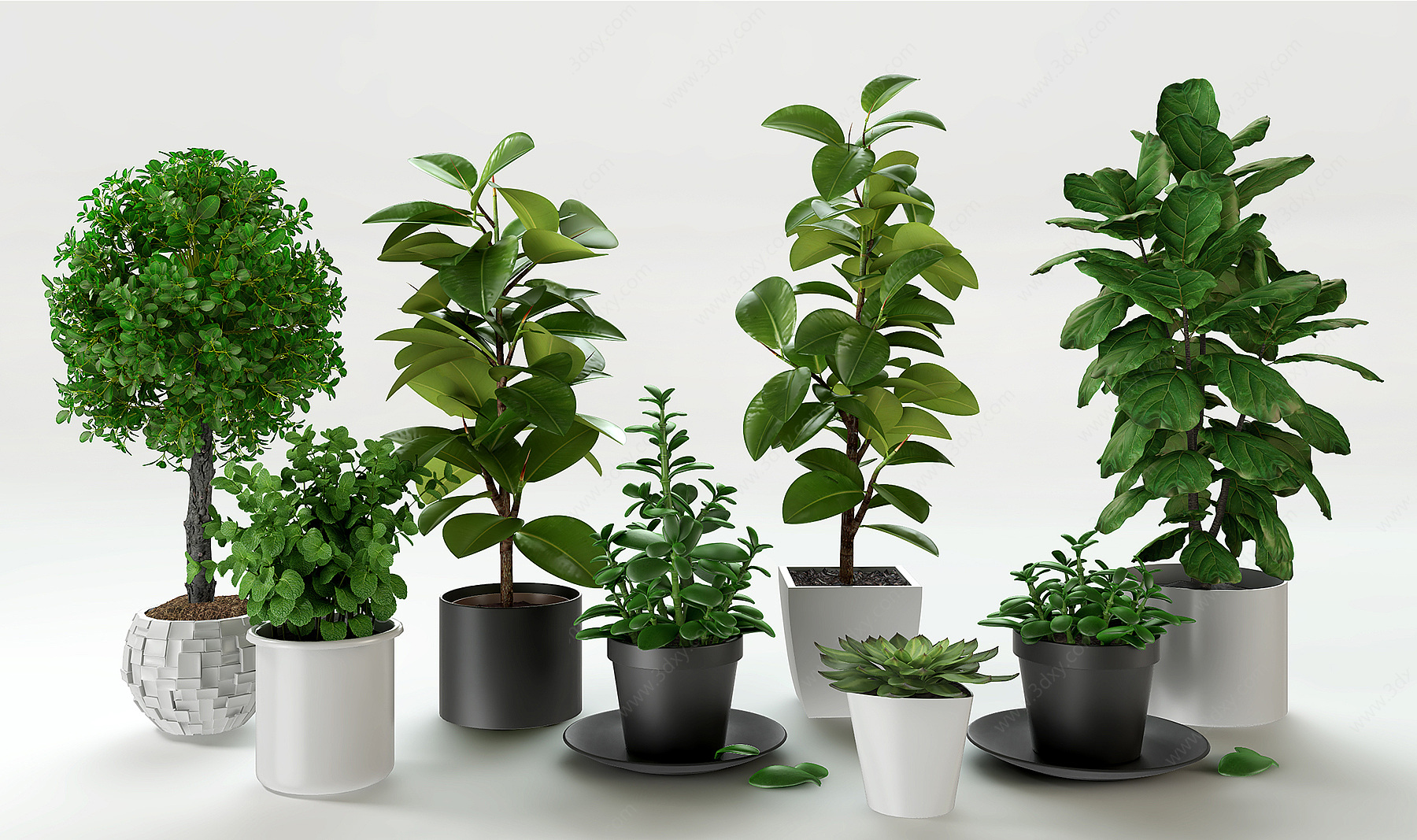 现代盆景绿植多肉植物3D模型
