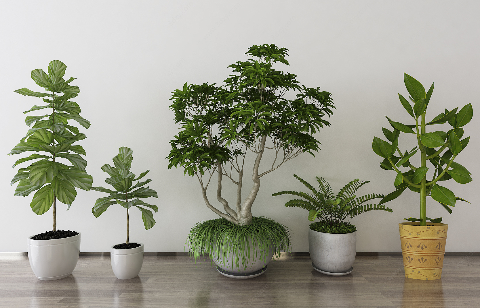 植物盆栽3D模型