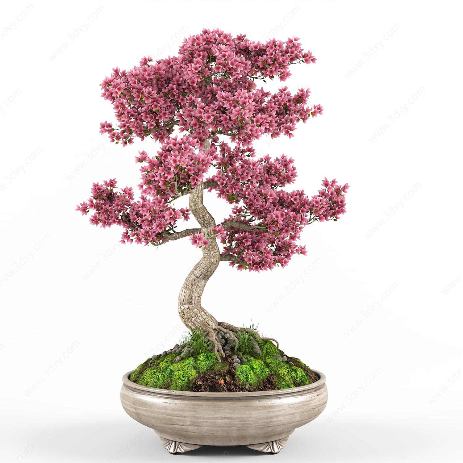 新中式植物盆栽3D模型