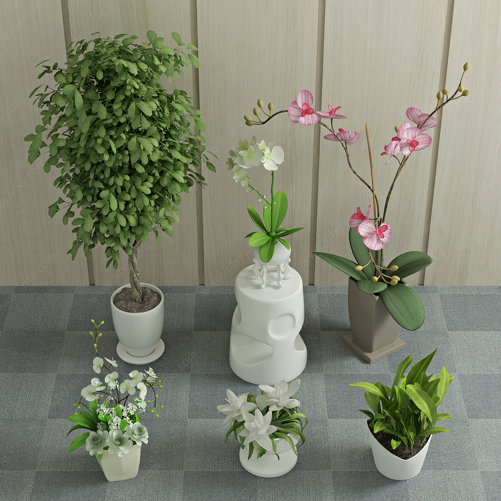 现代盆栽植物绿植3D模型