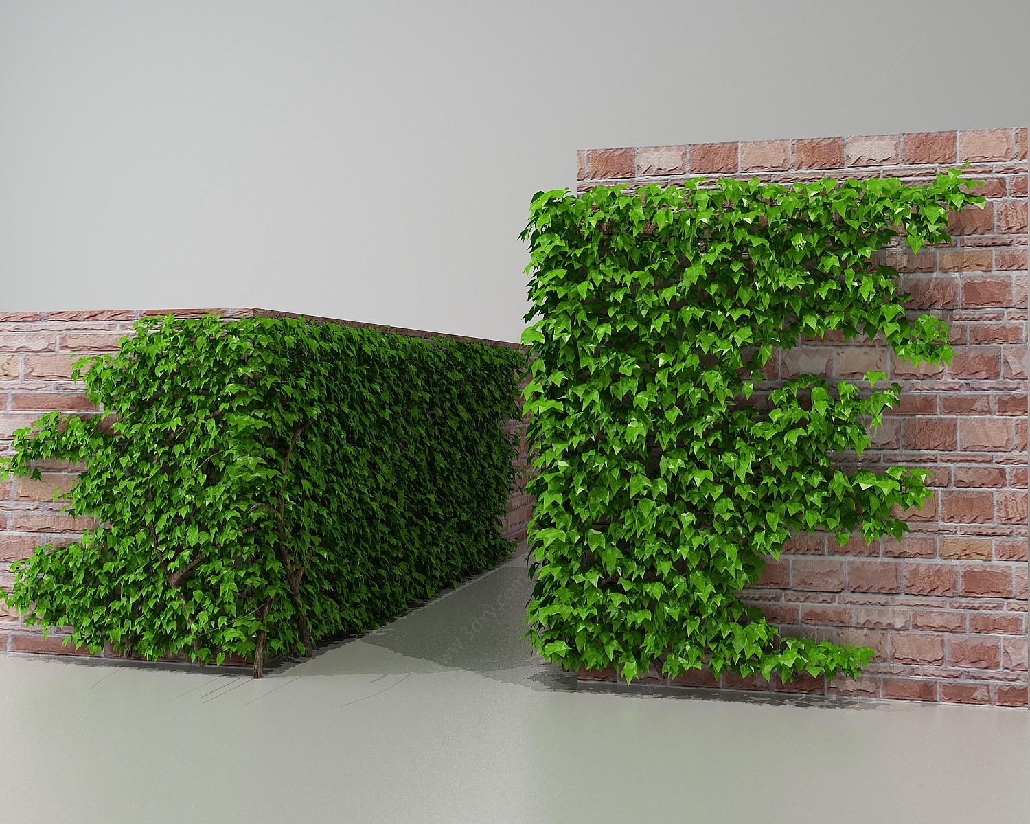 围墙植物爬山虎3D模型