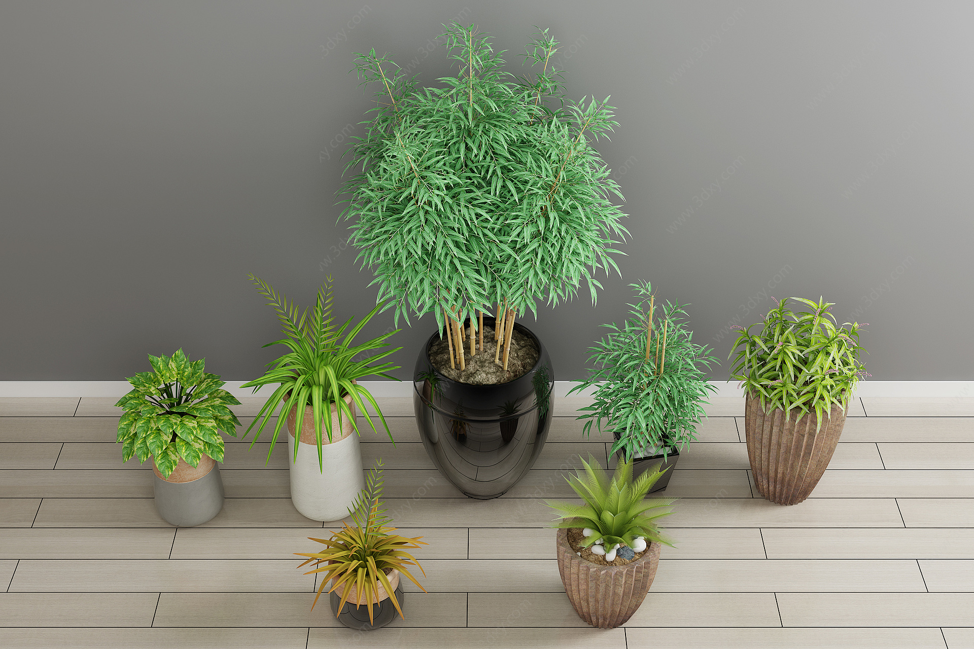 绿植盆栽植物3D模型