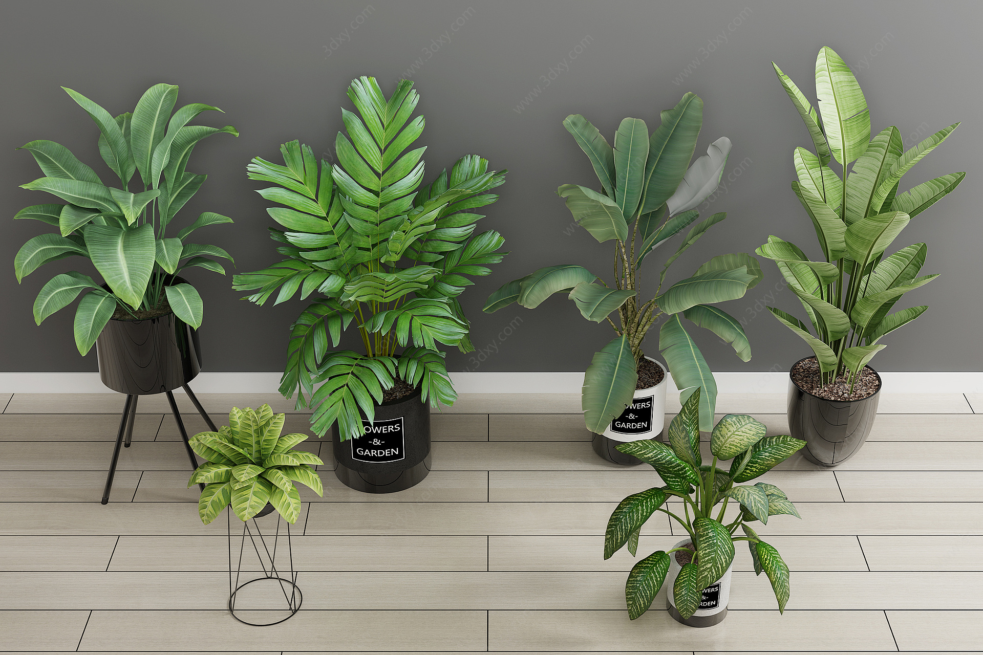 绿植盆栽植物花3D模型