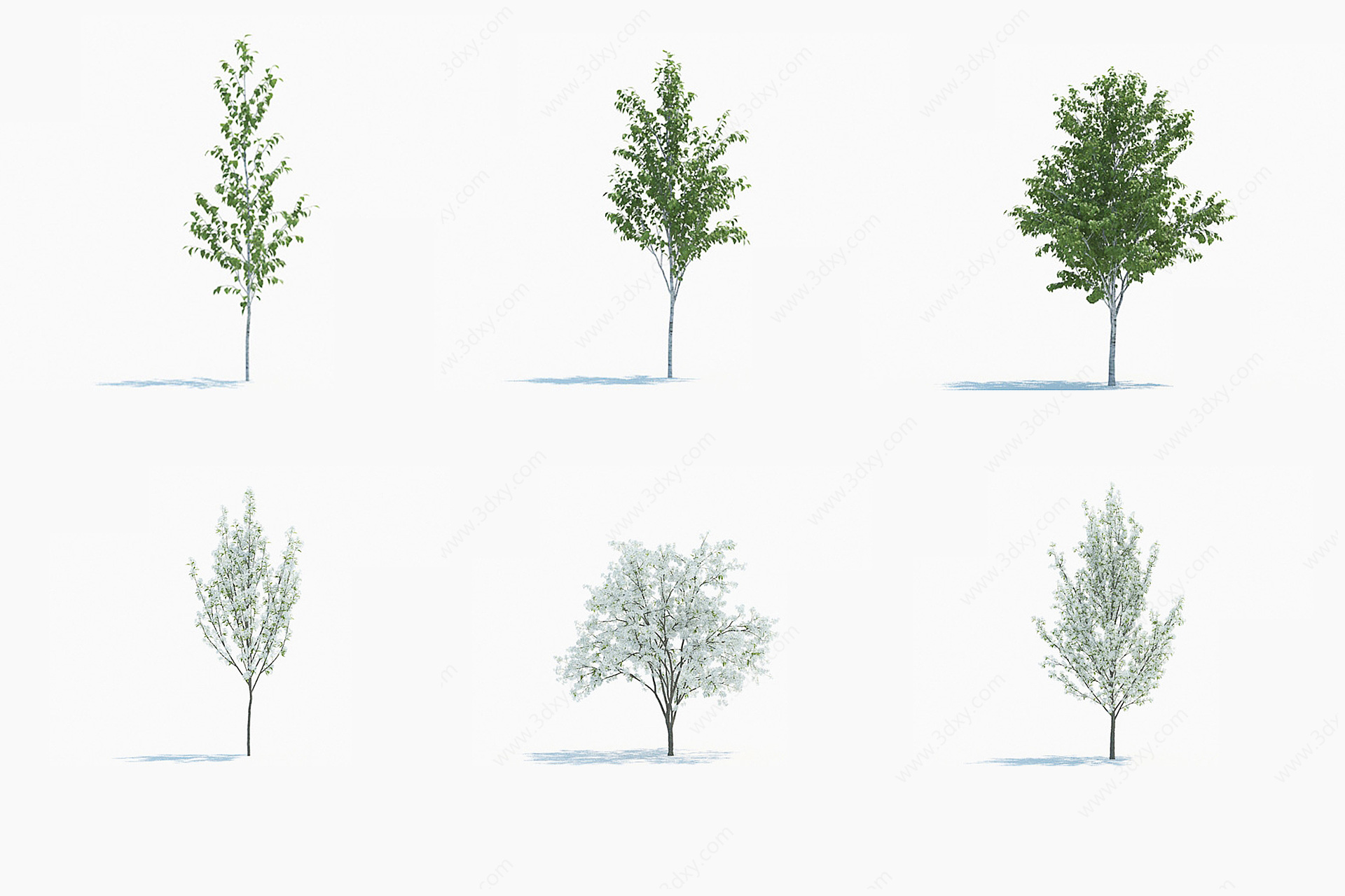 景观树木户外树木庭院树木3D模型